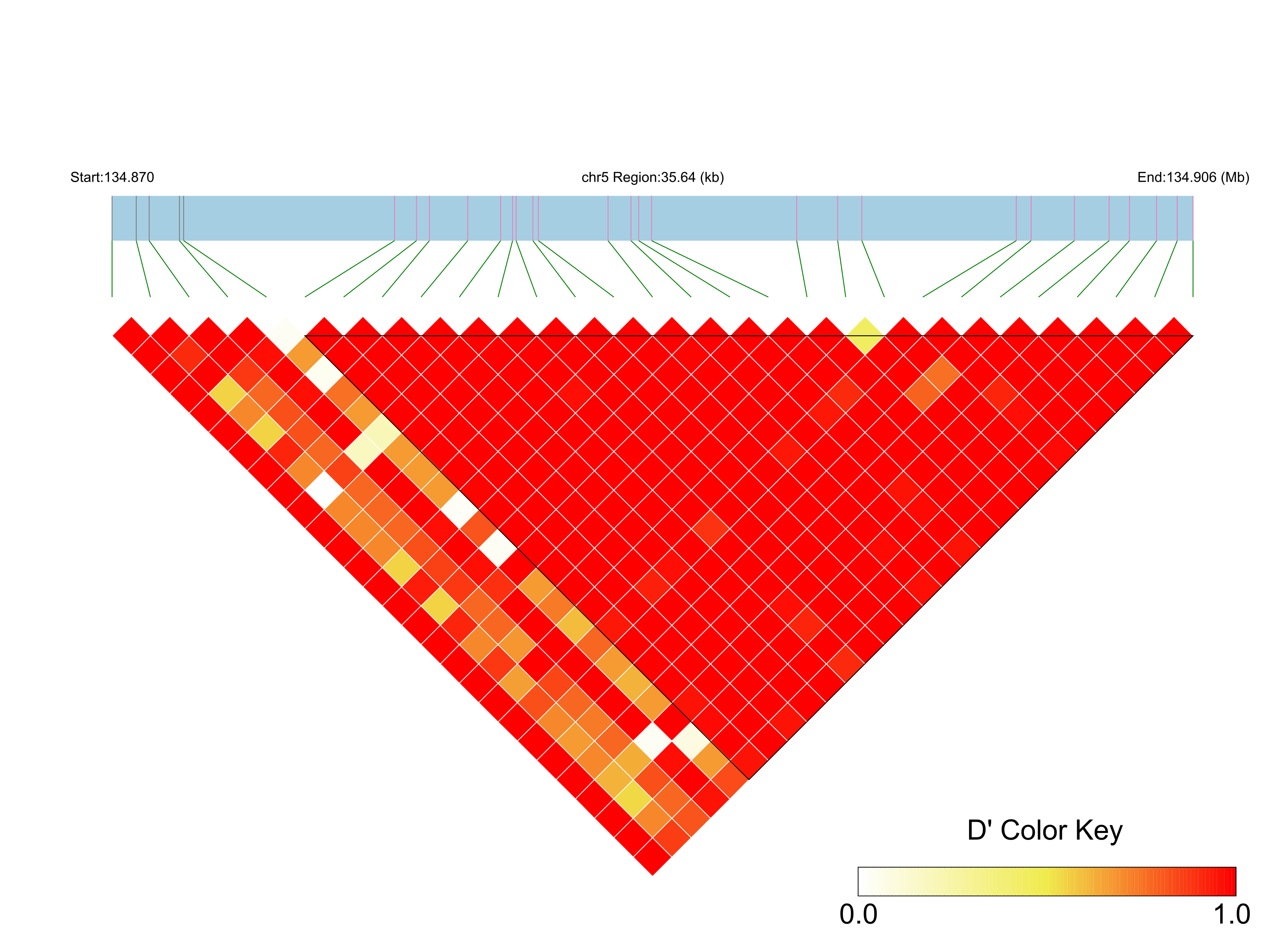 LD