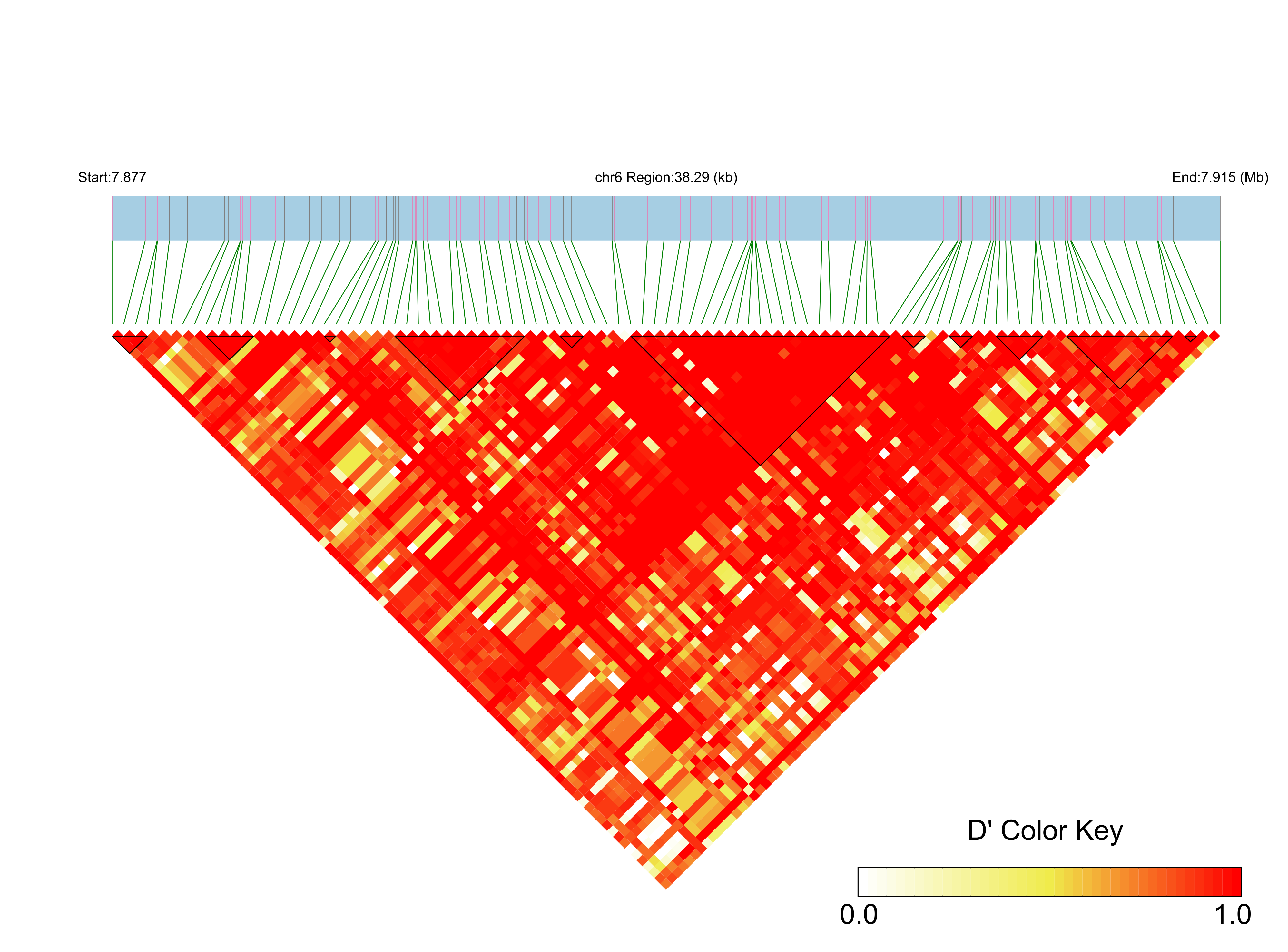 LD