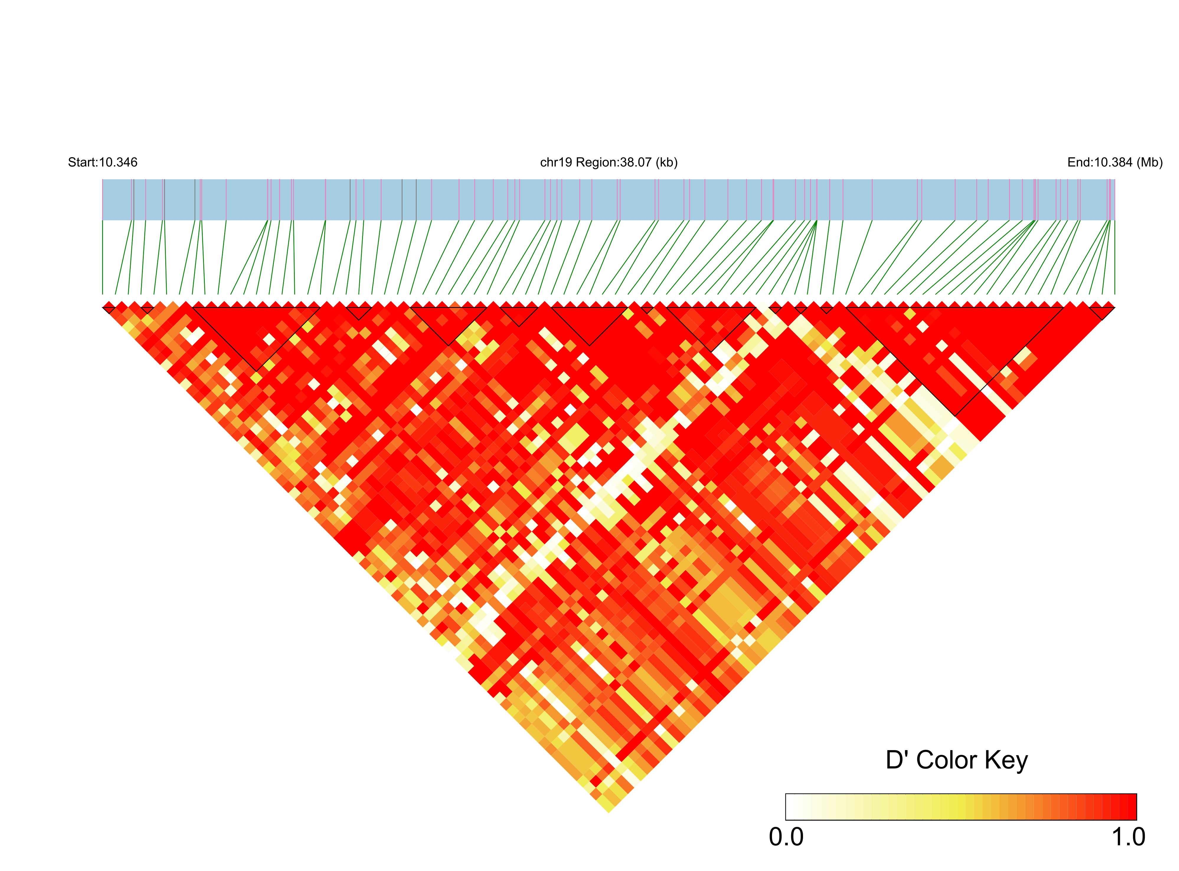 LD