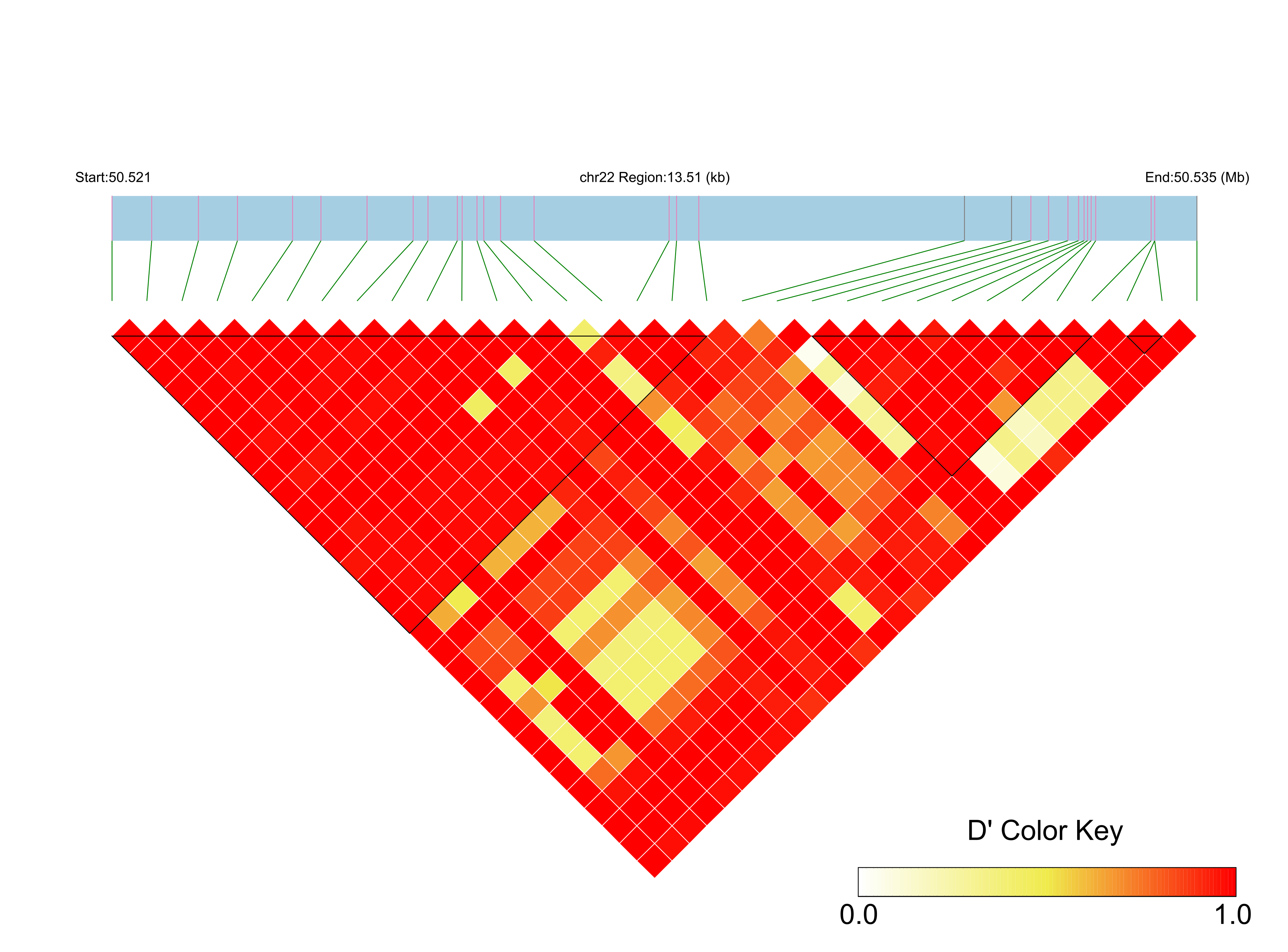 LD