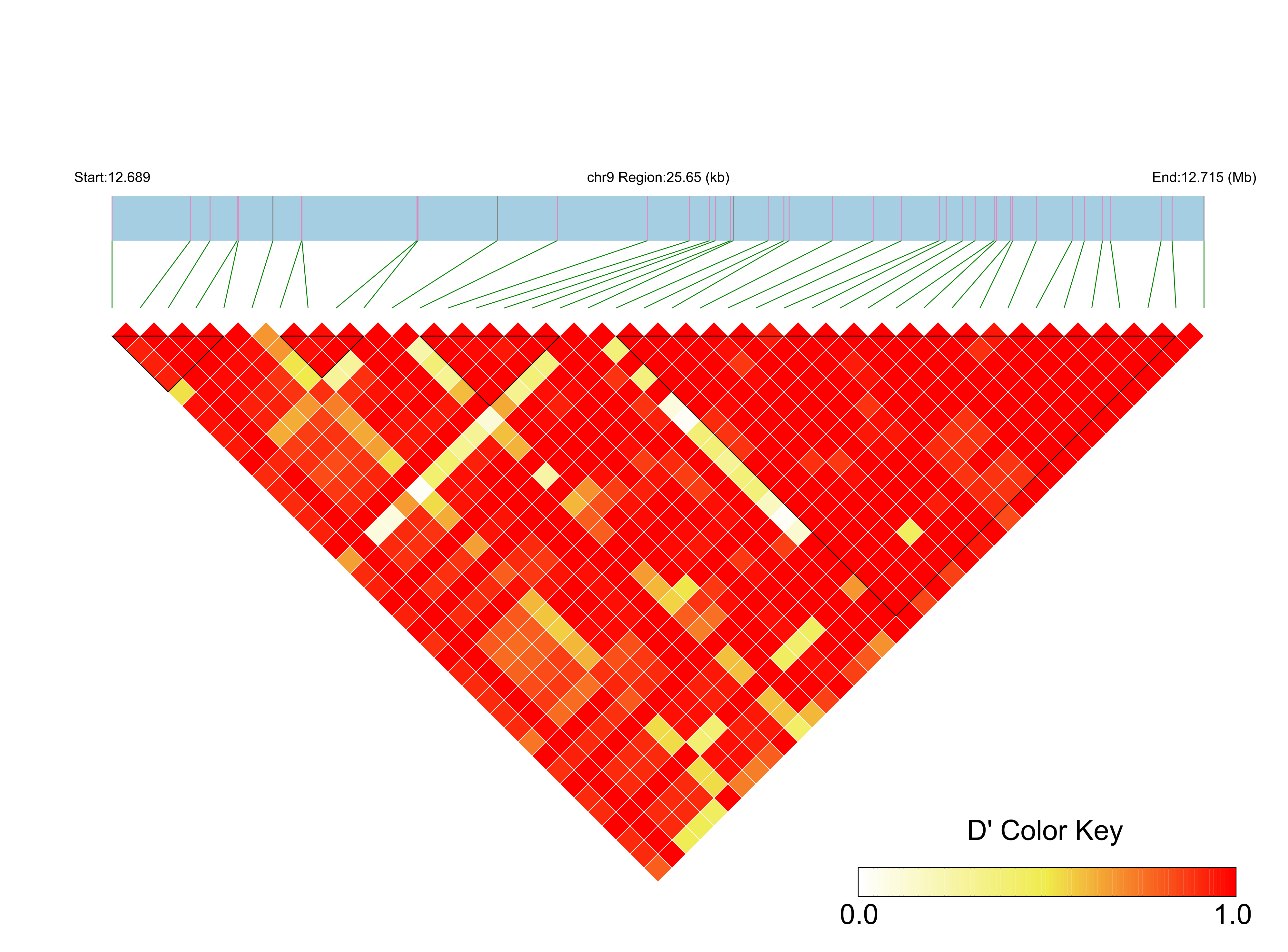 LD