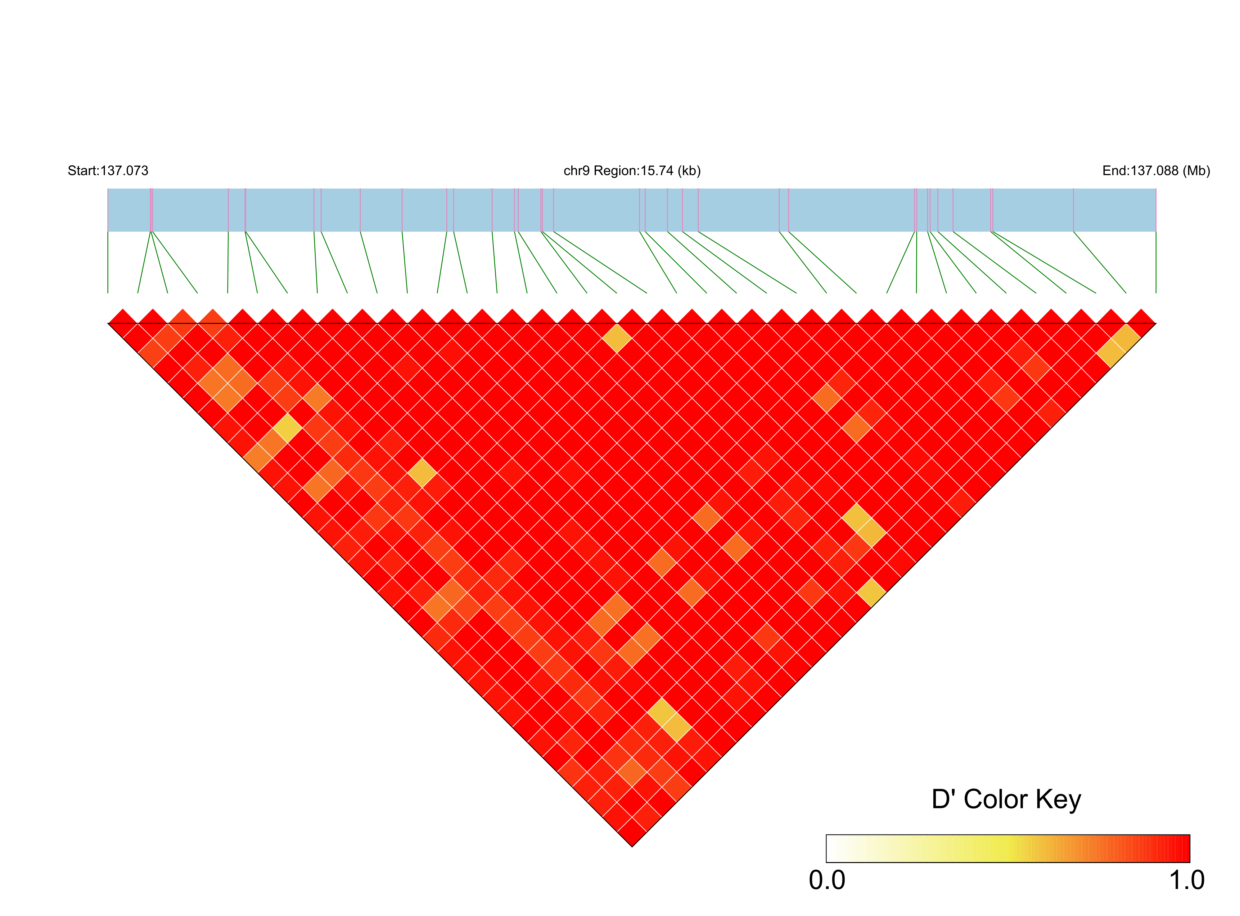 LD