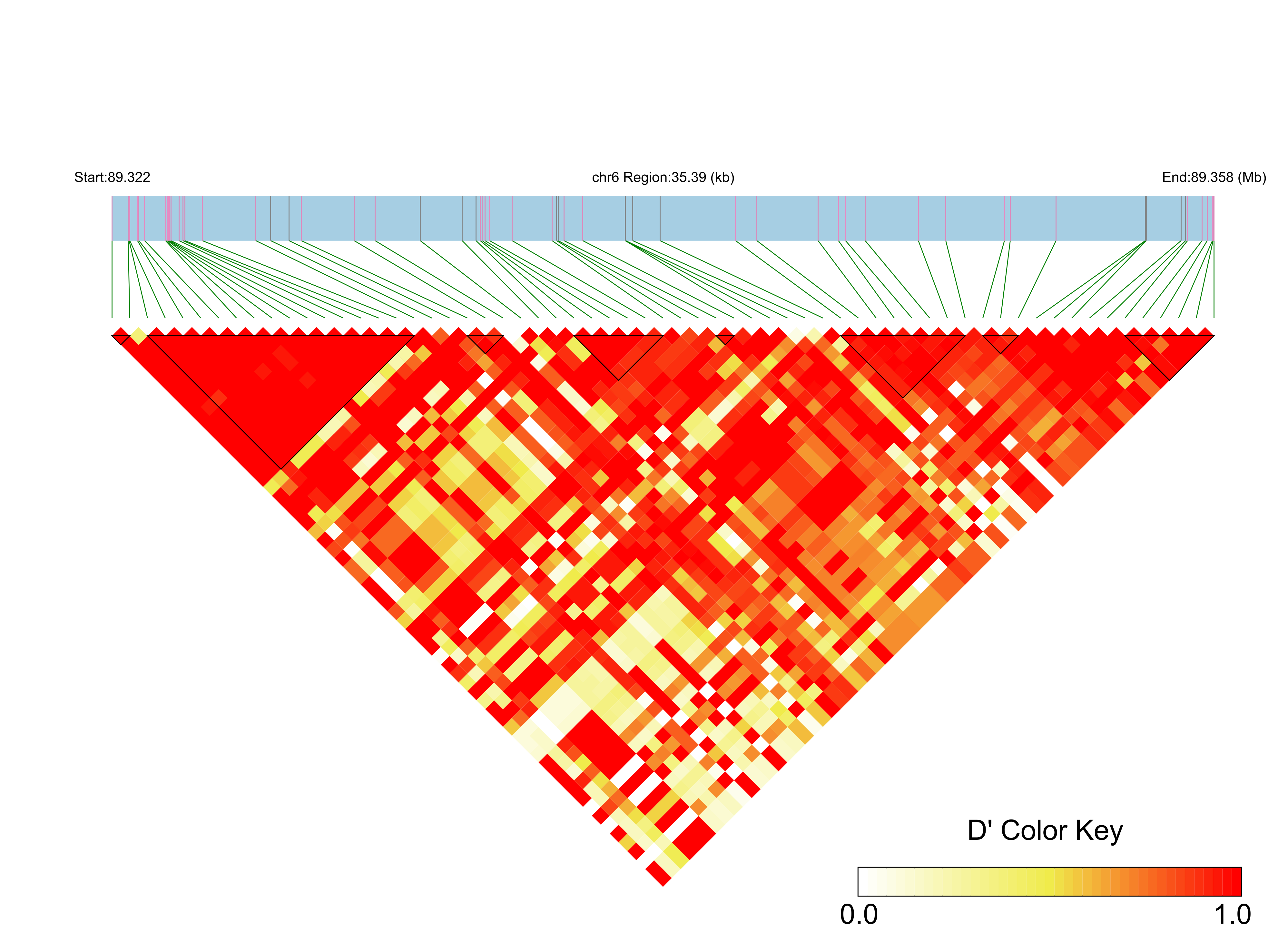 LD