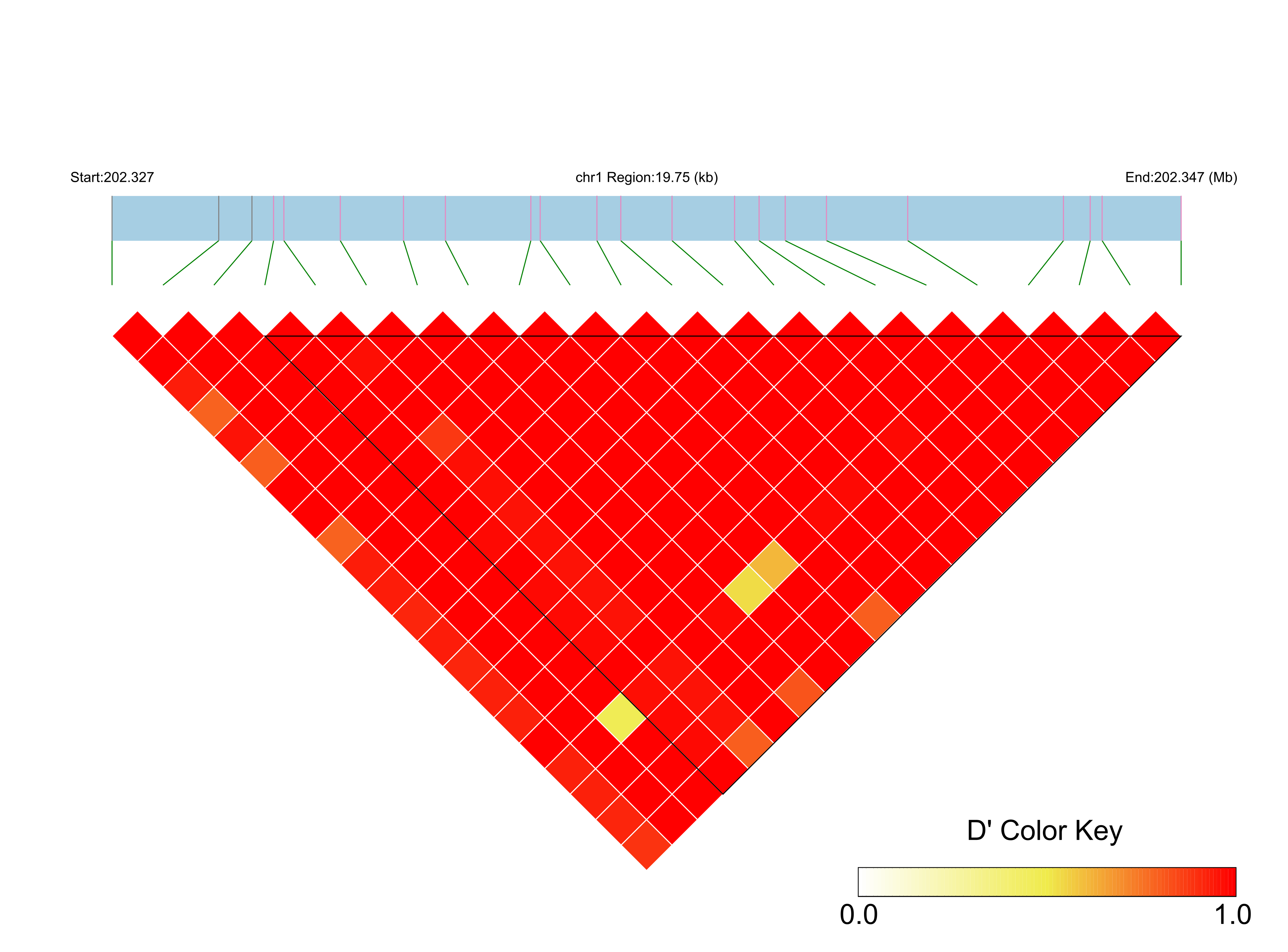 LD