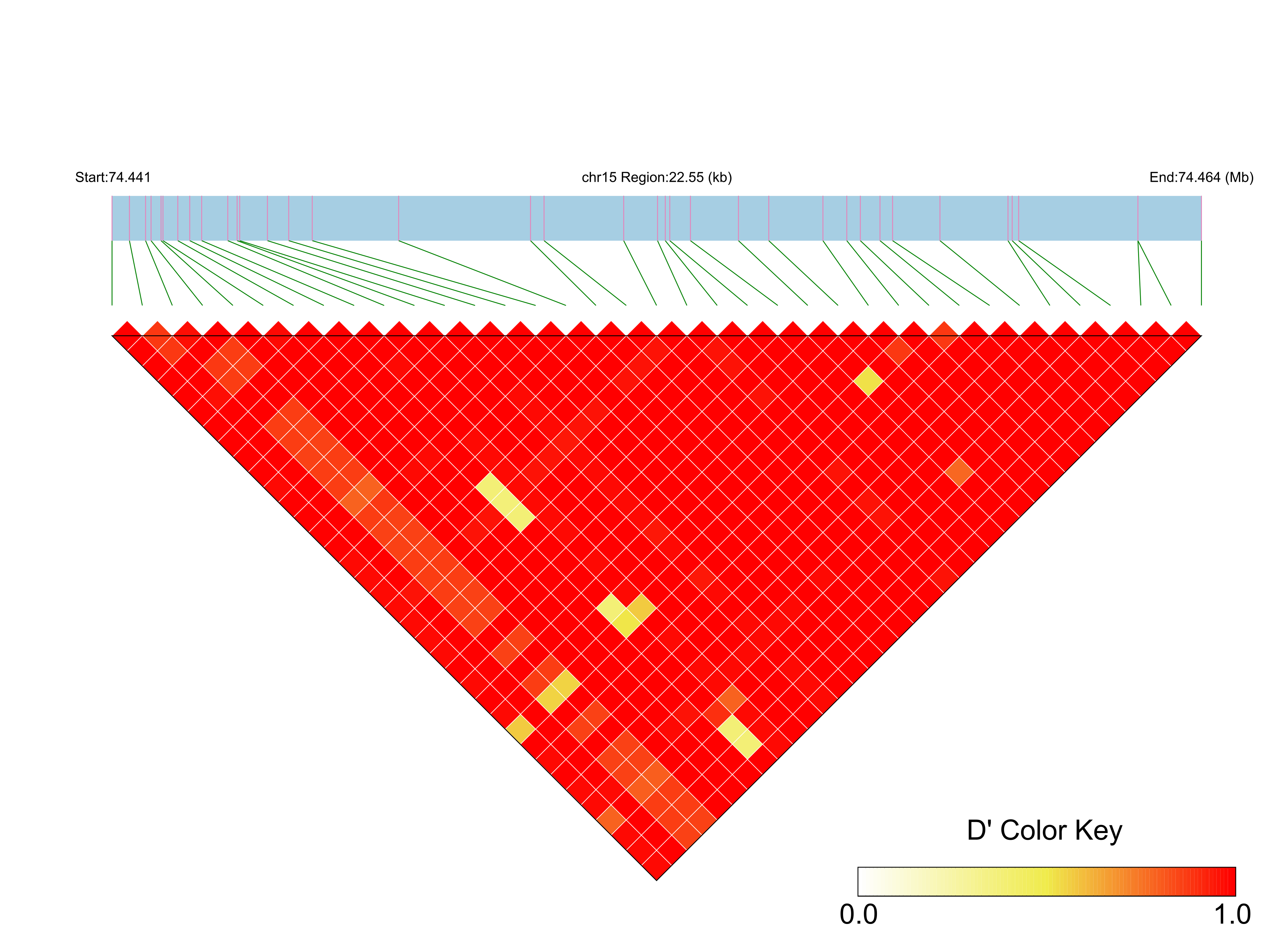 LD