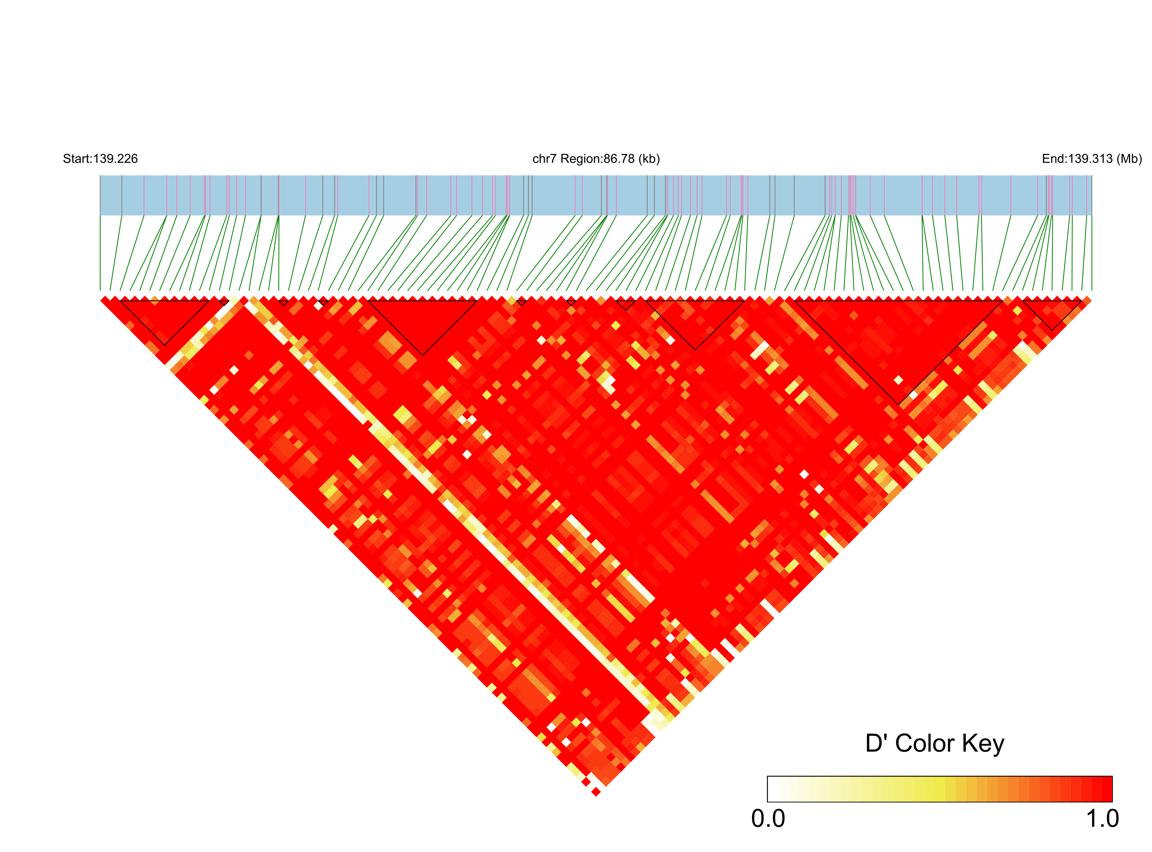 LD