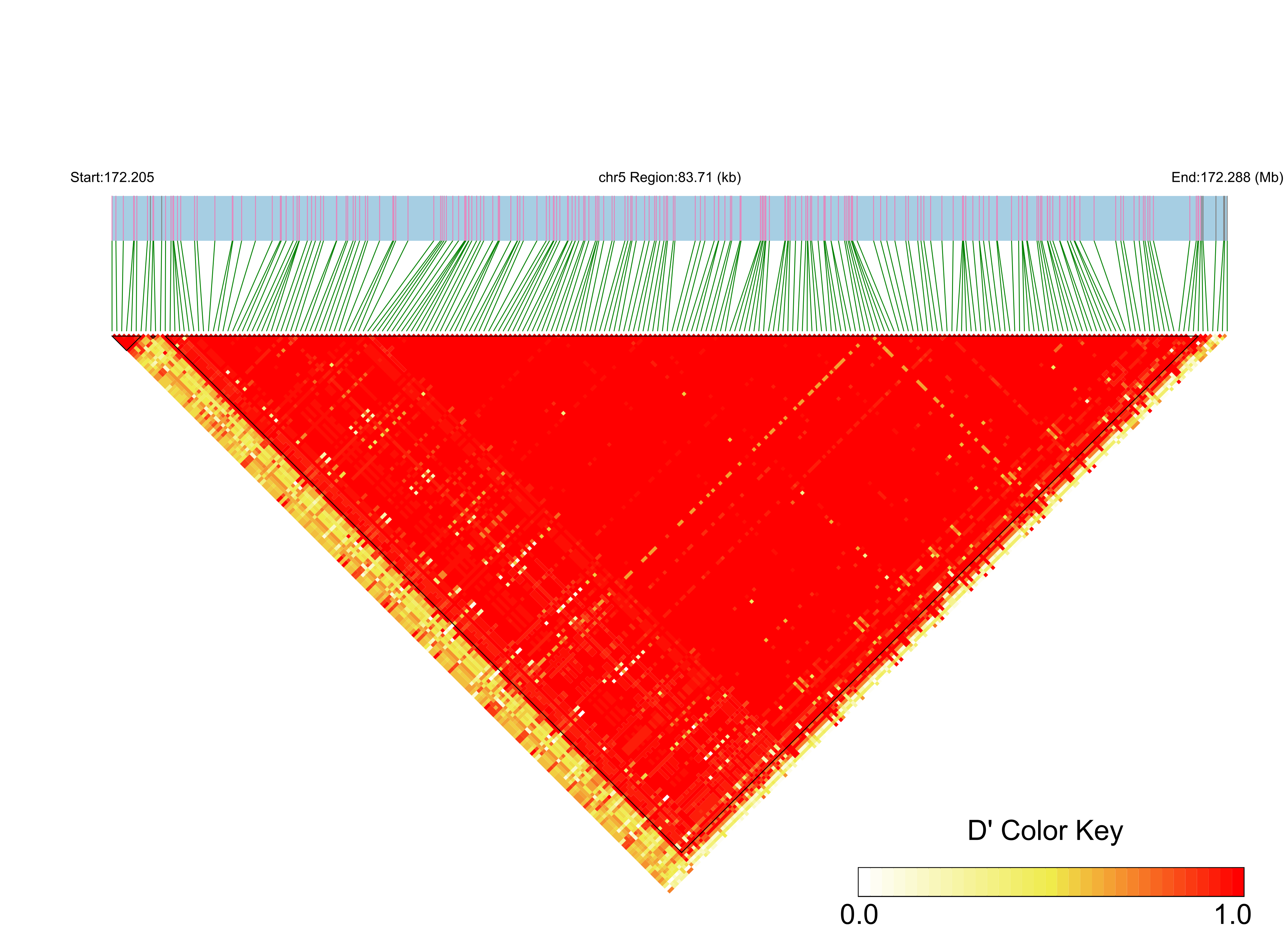 LD
