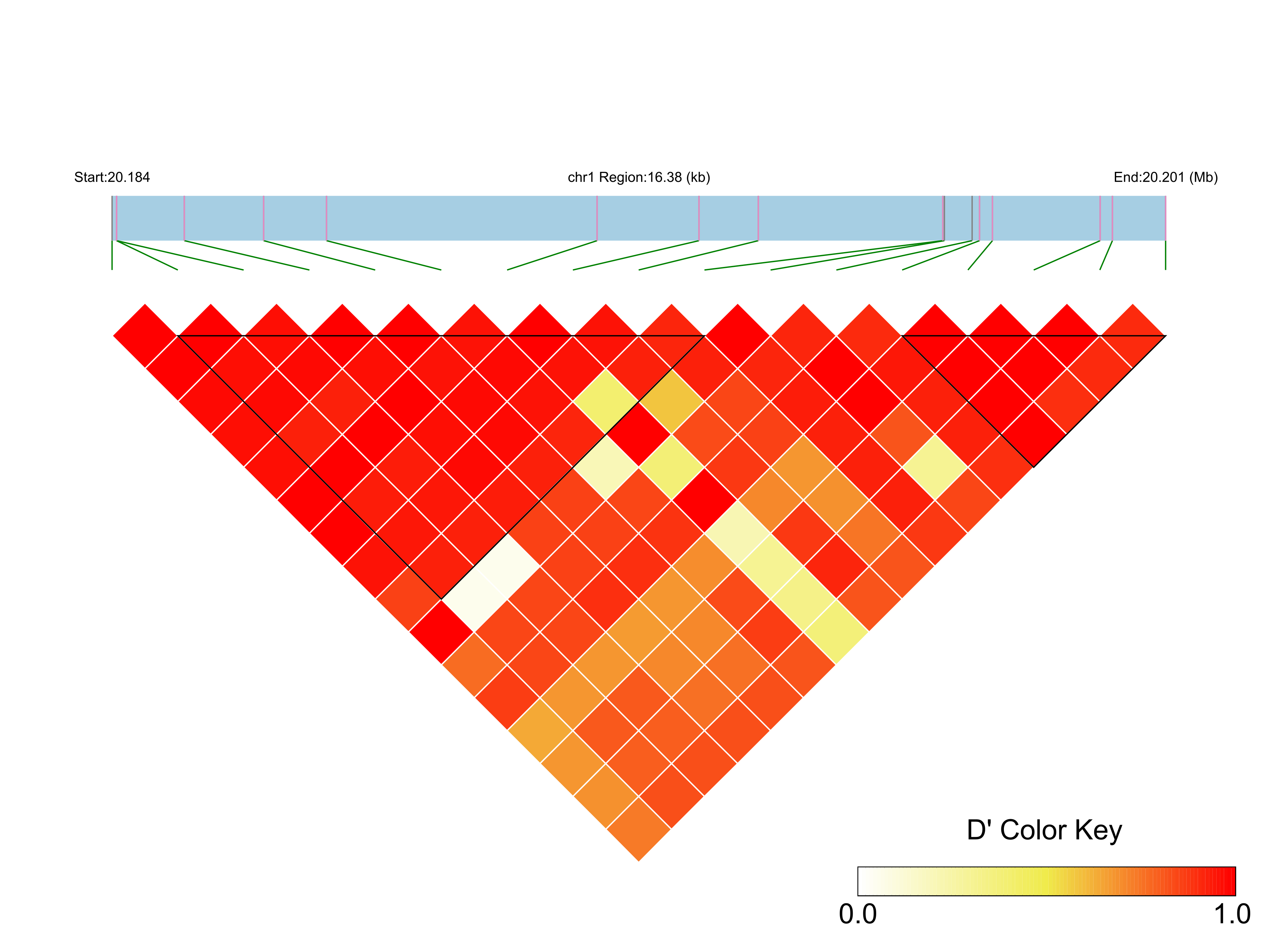 LD