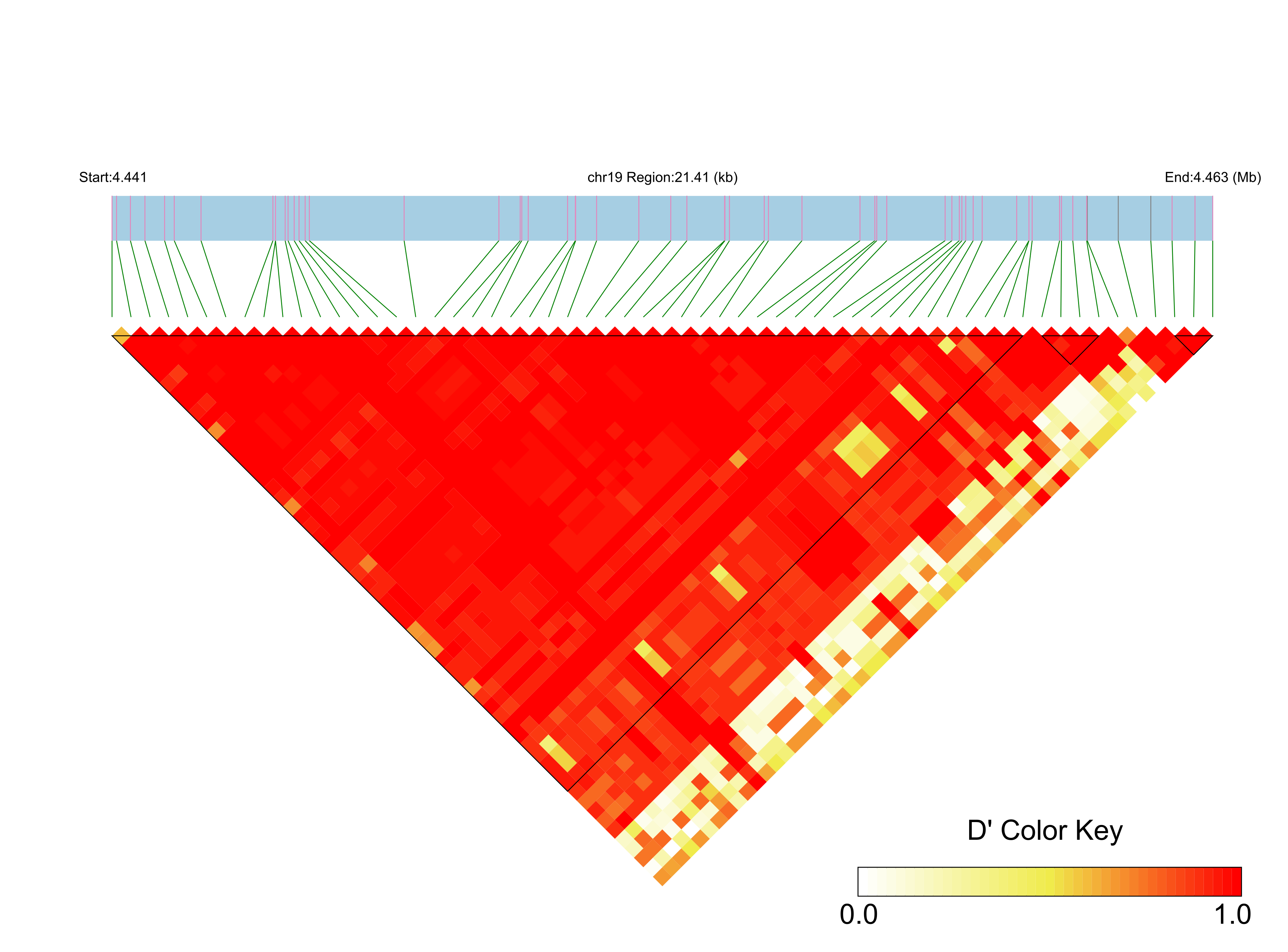 LD