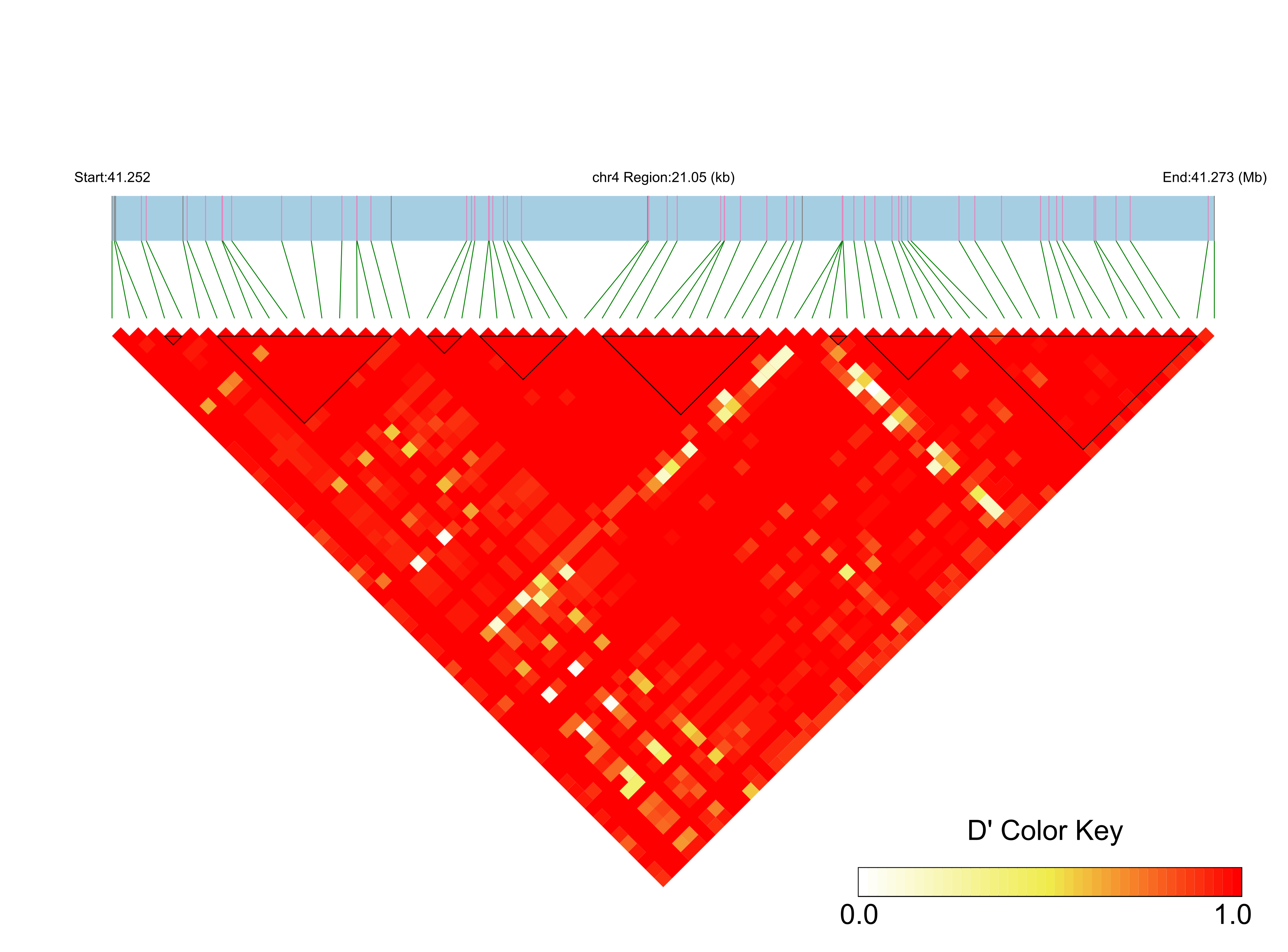 LD