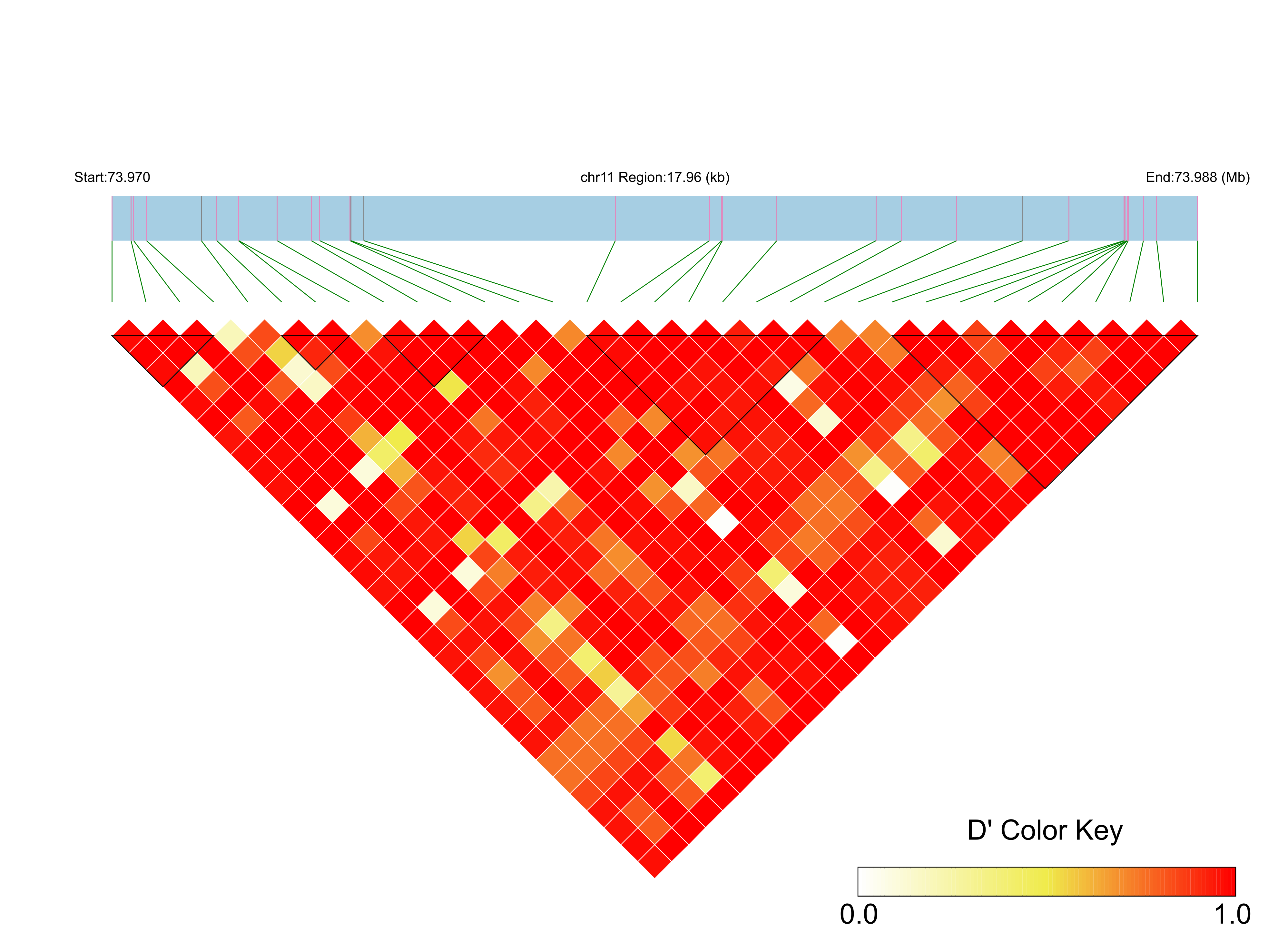 LD