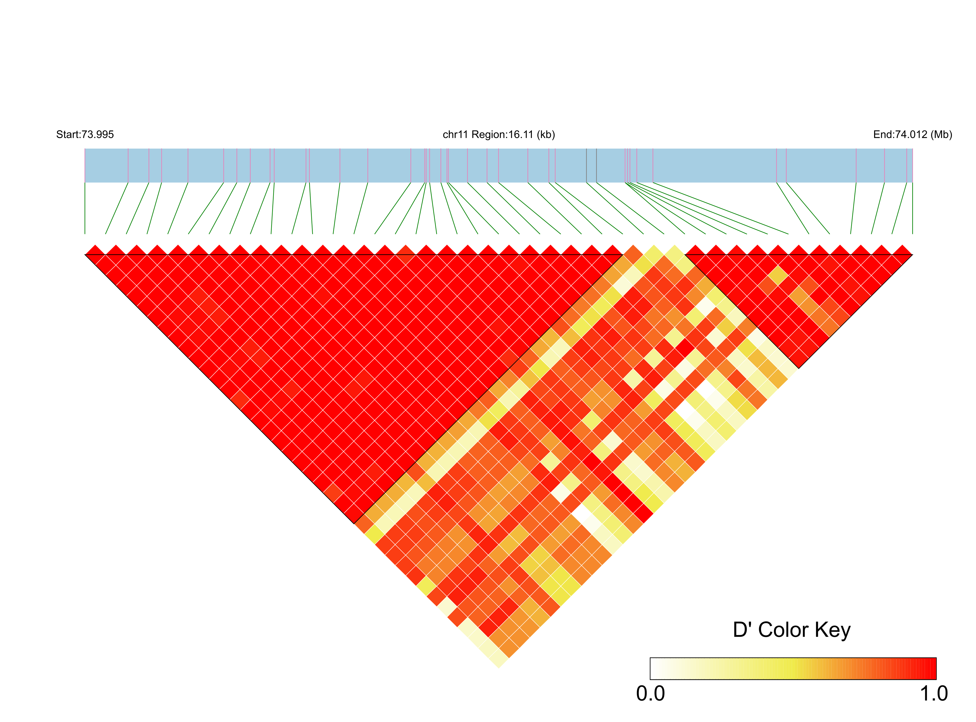 LD