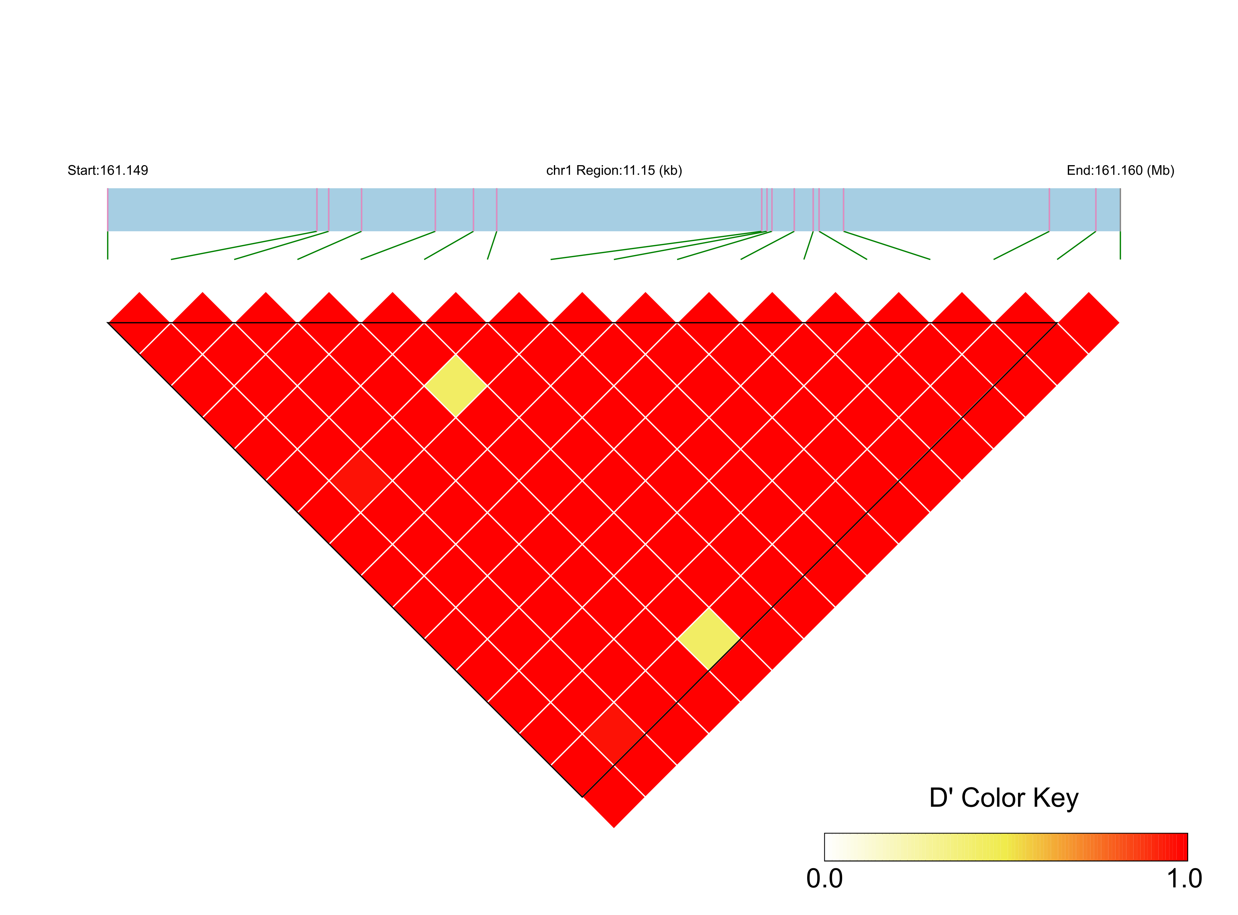 LD