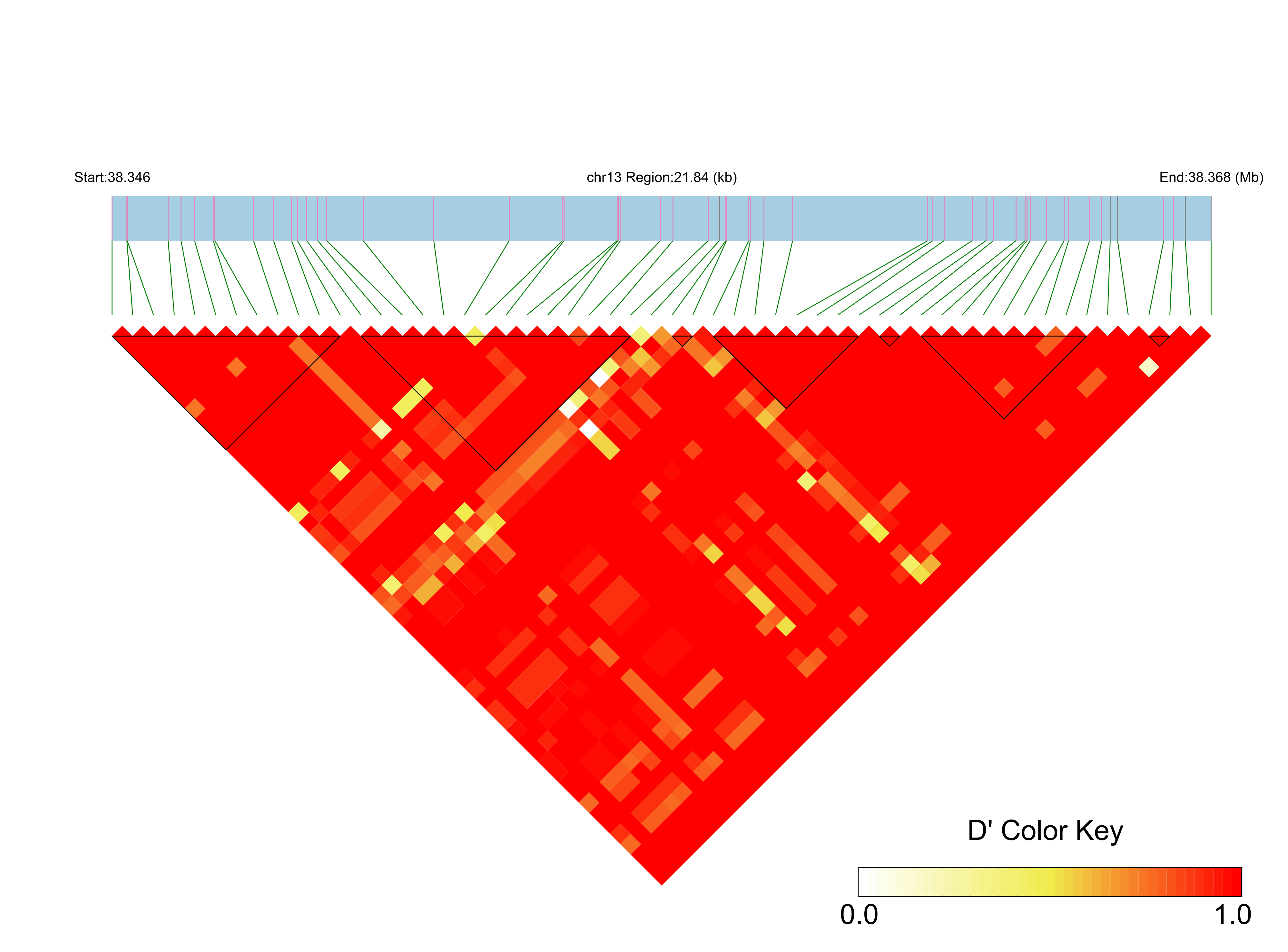 LD