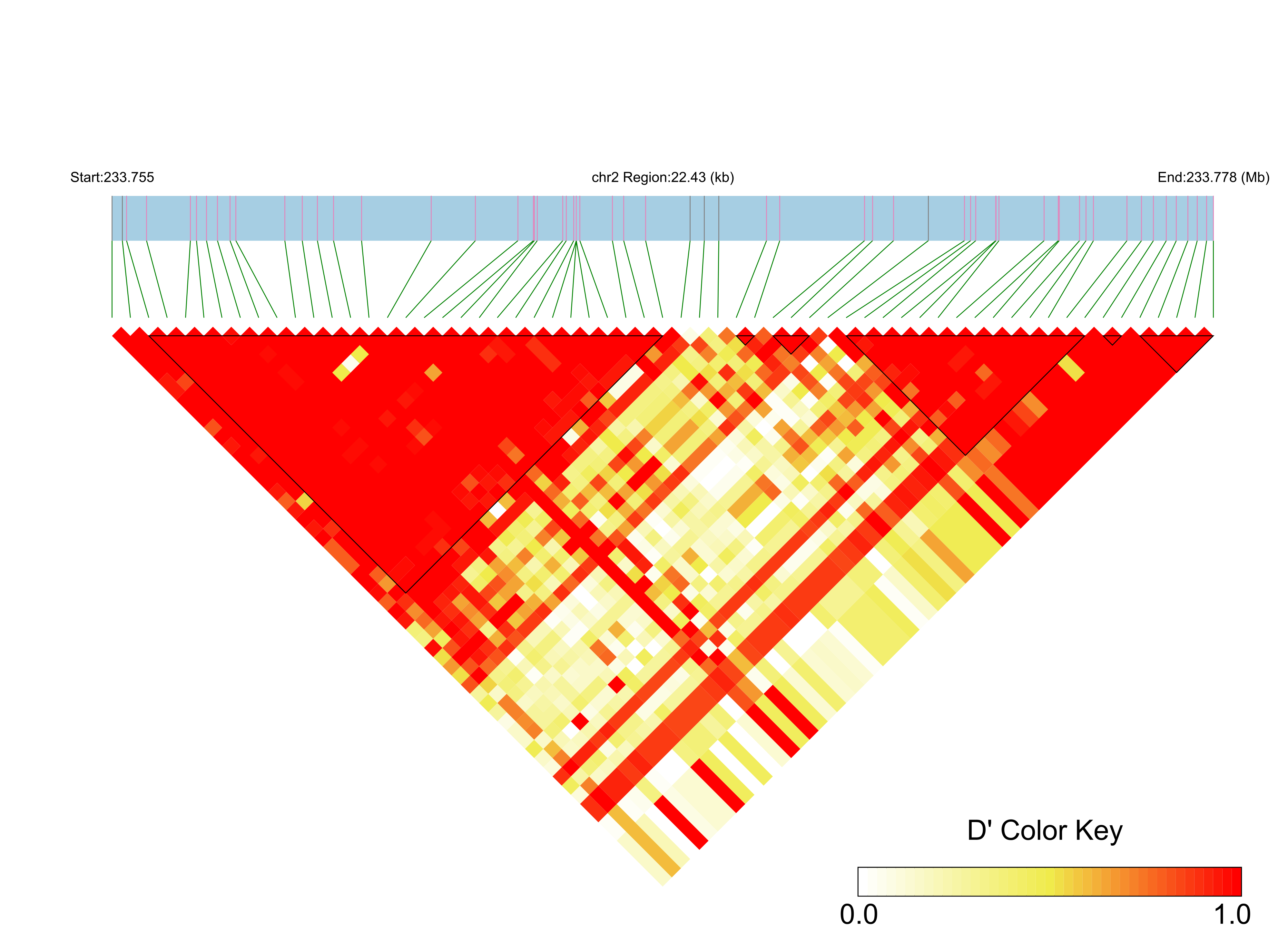 LD