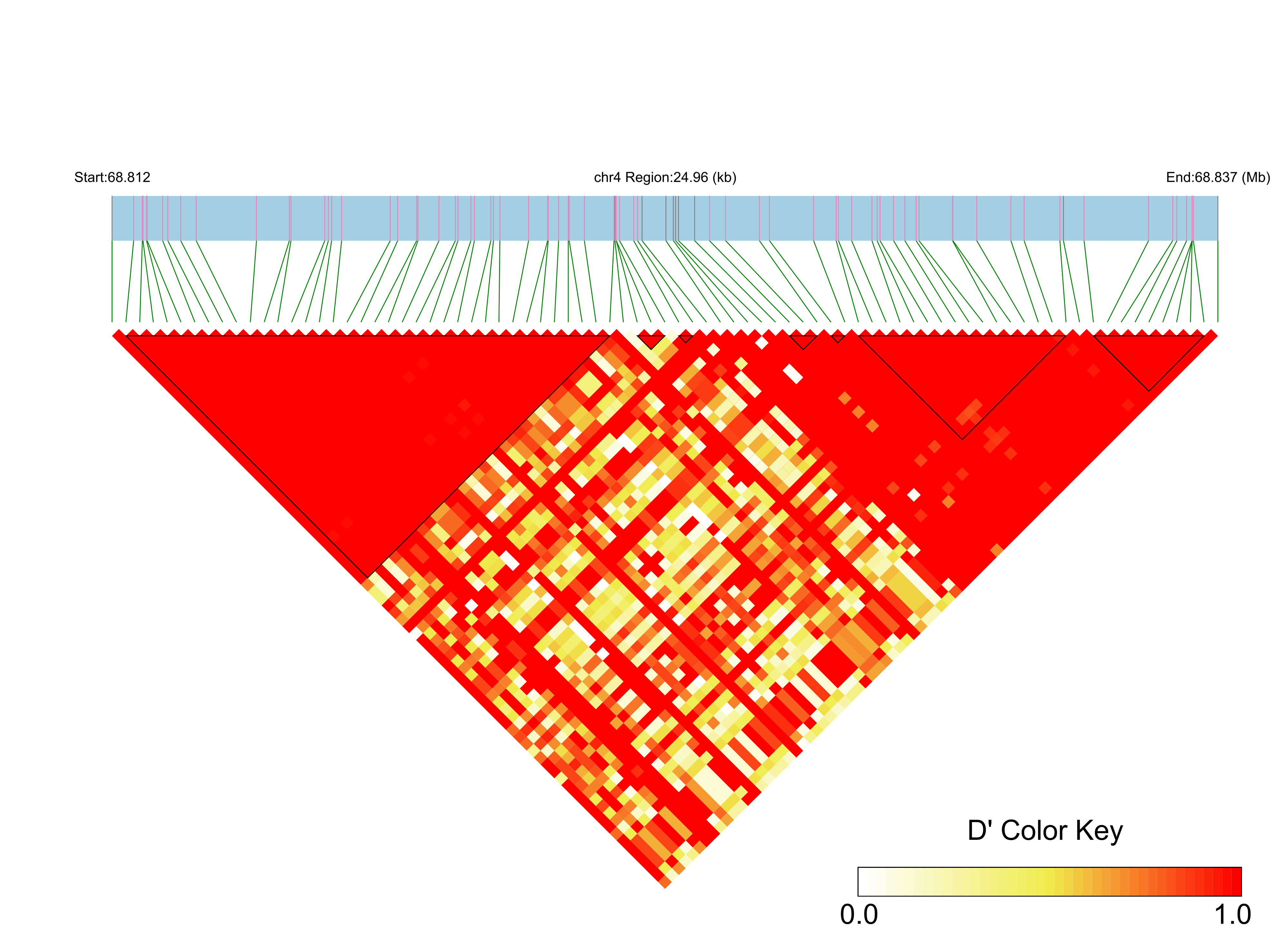 LD