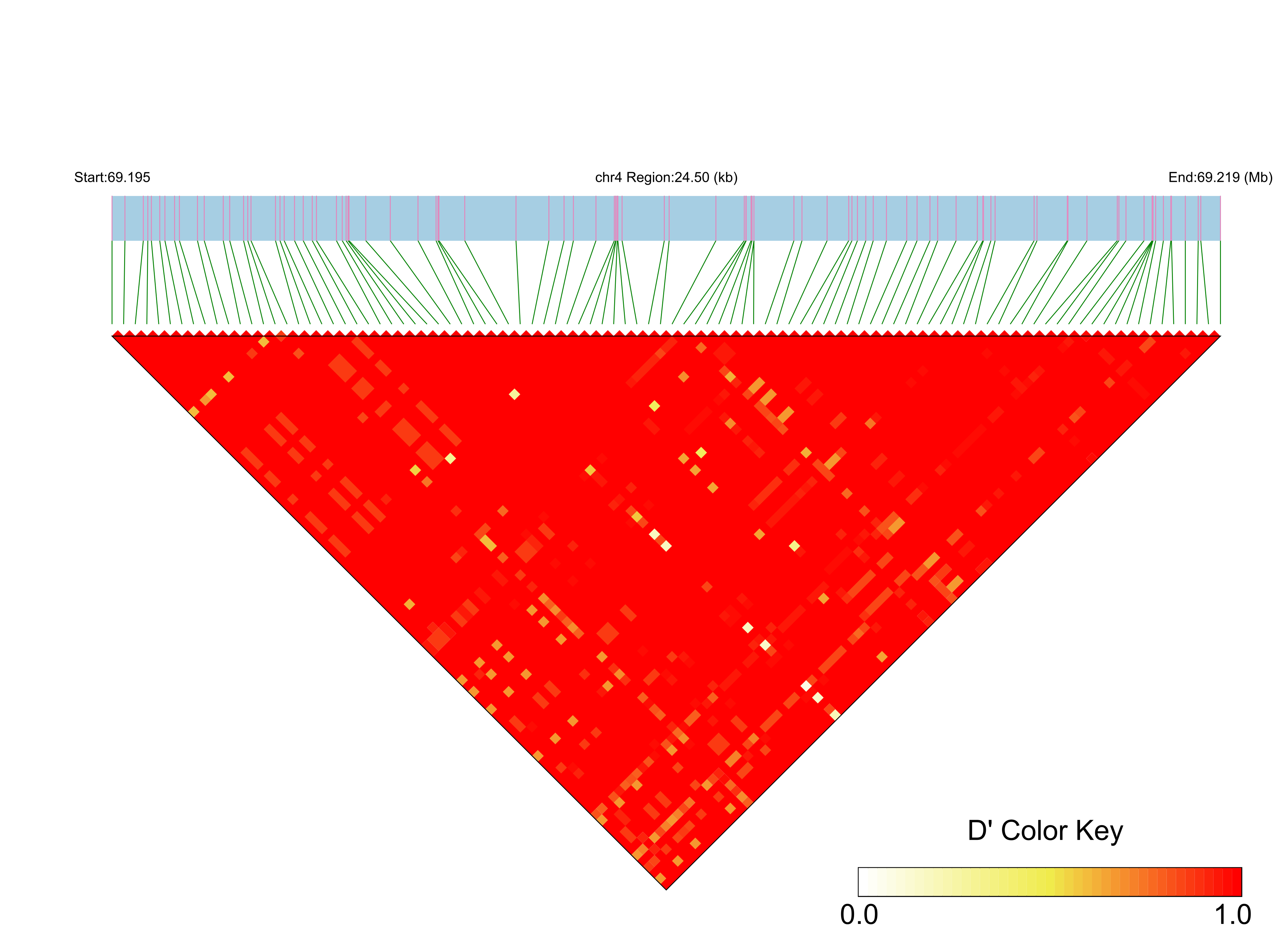 LD