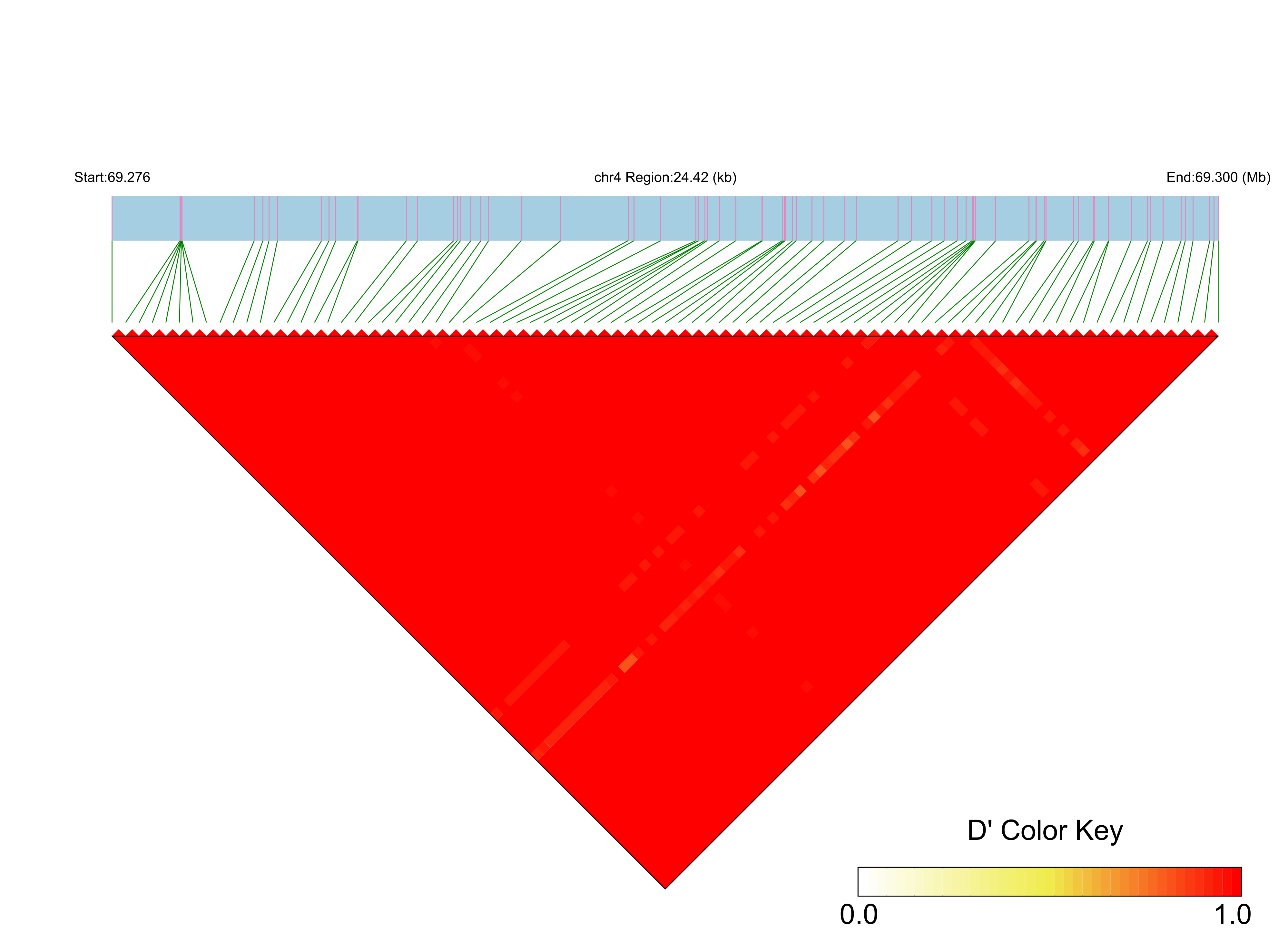 LD