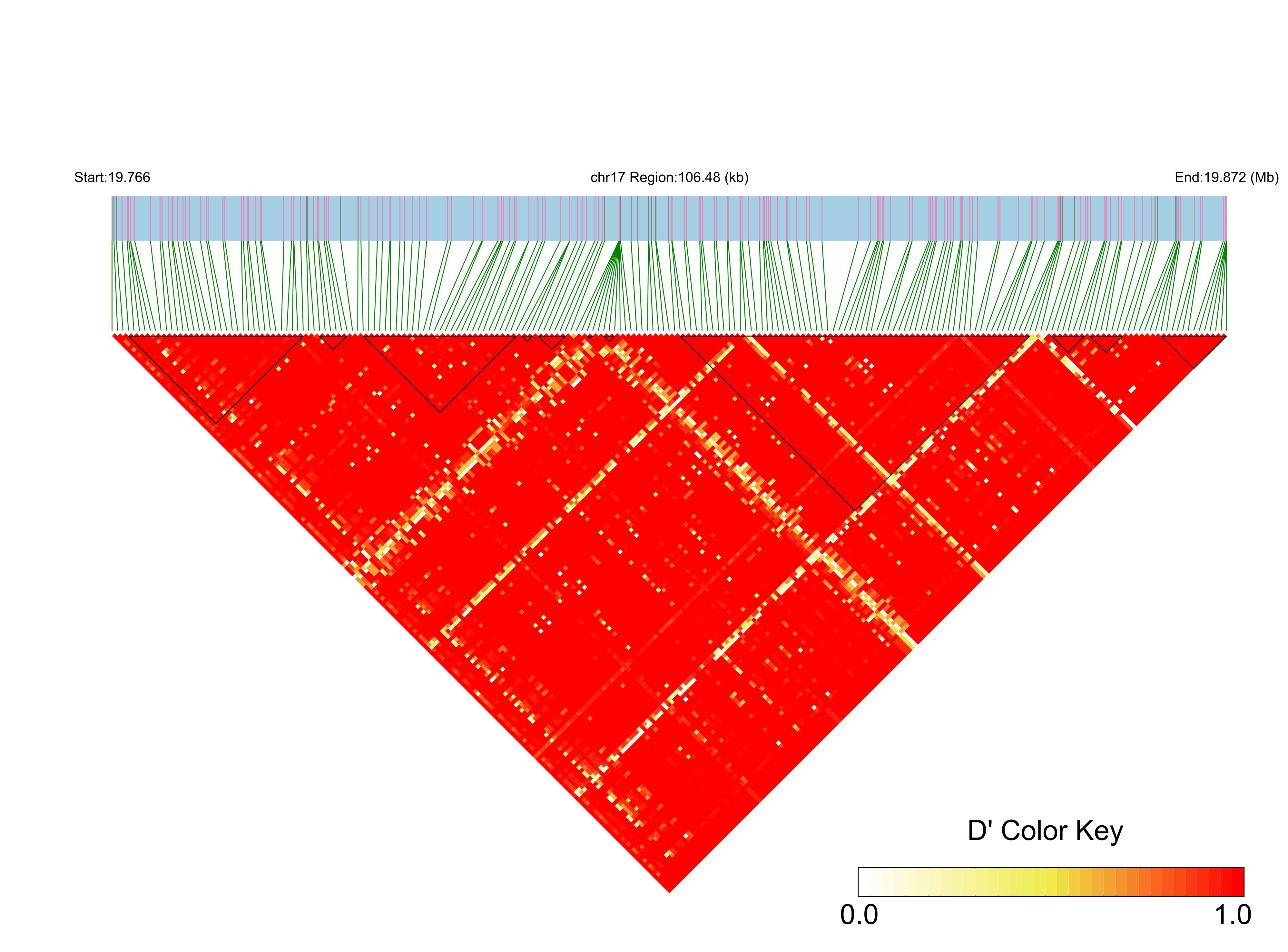 LD