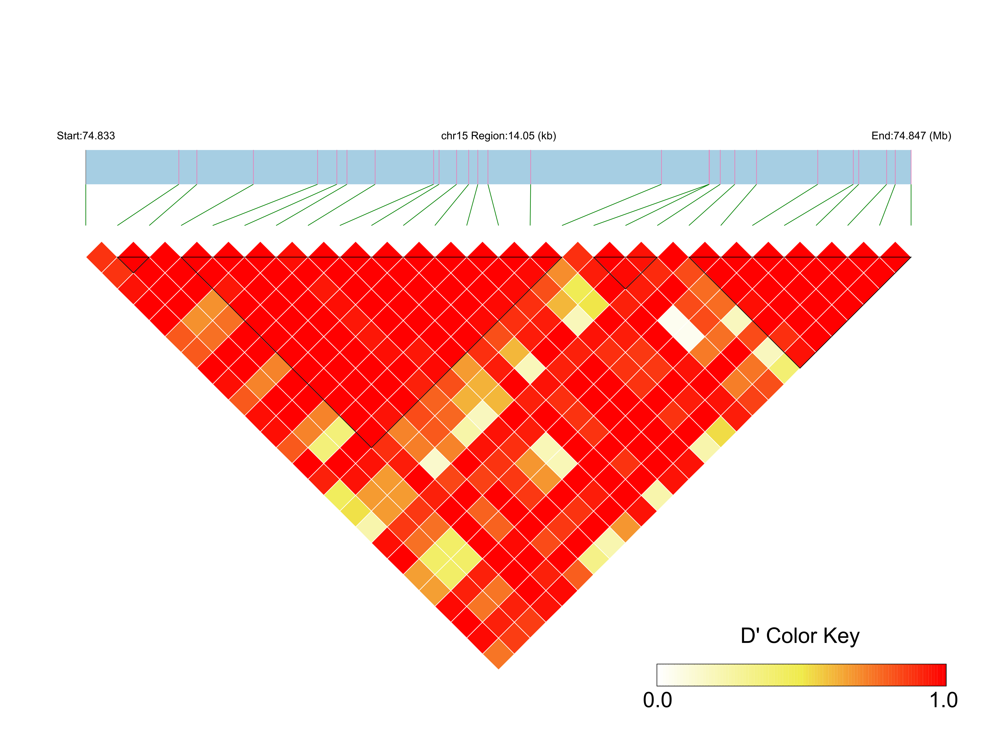 LD
