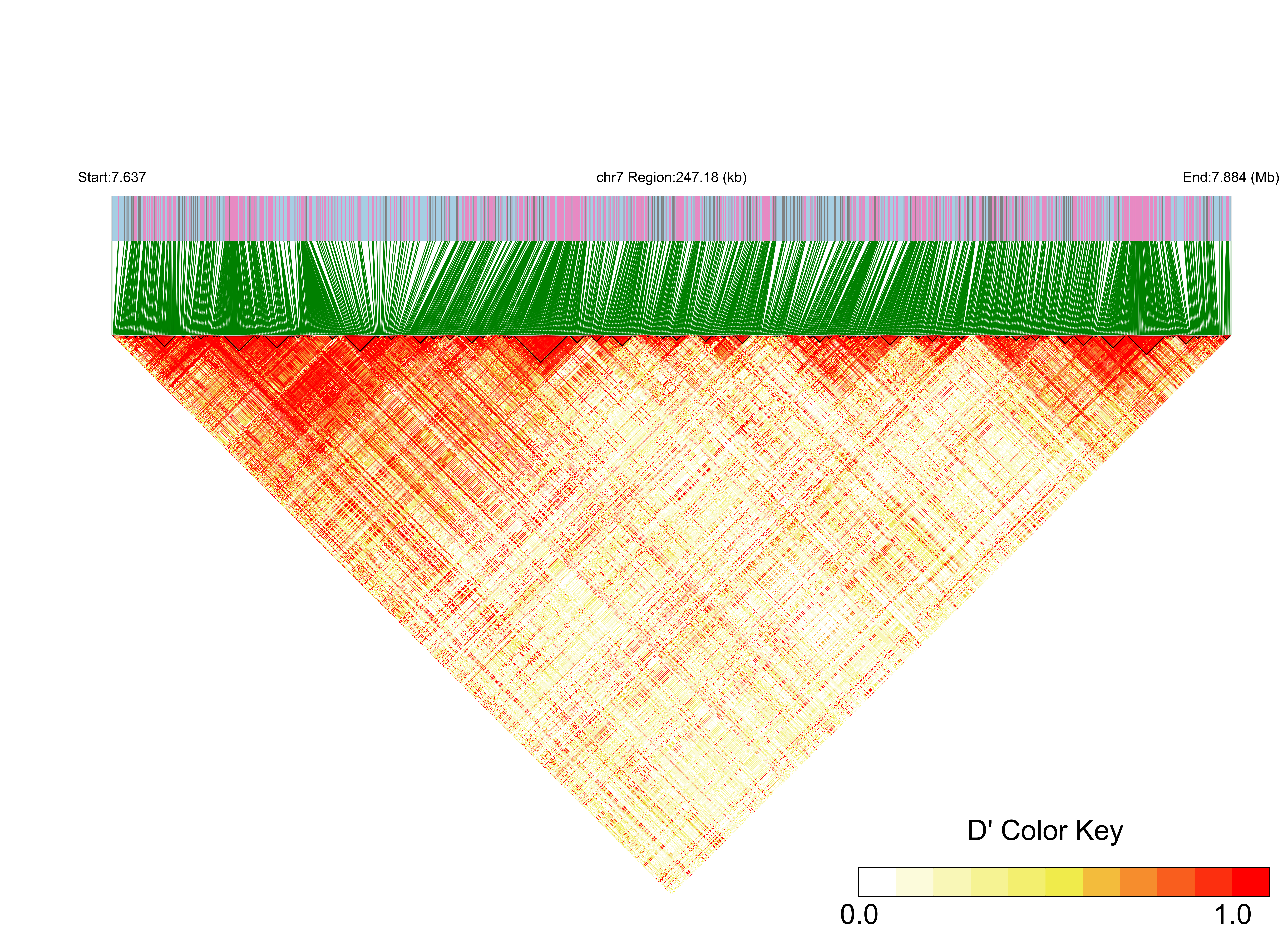 LD