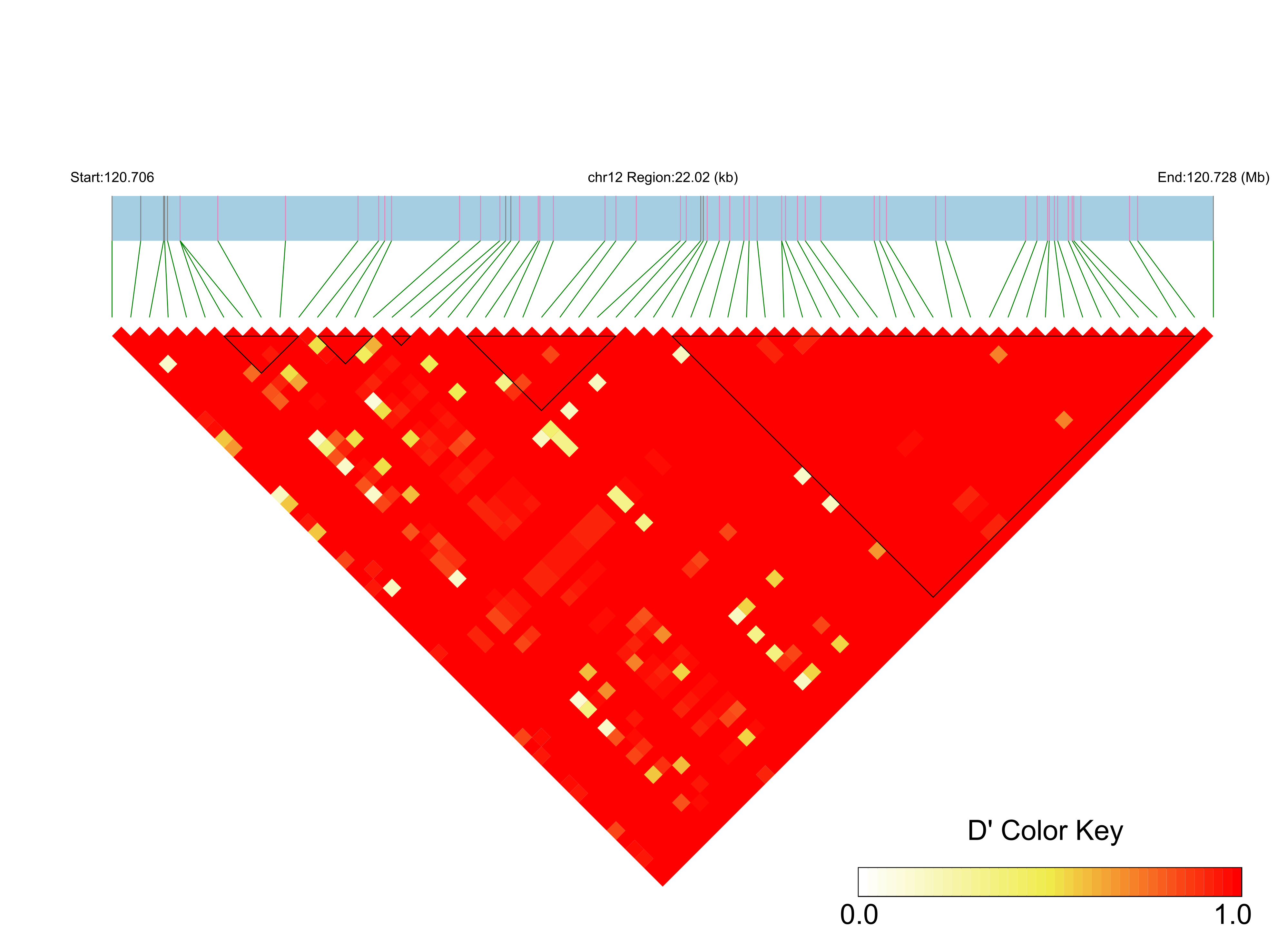 LD
