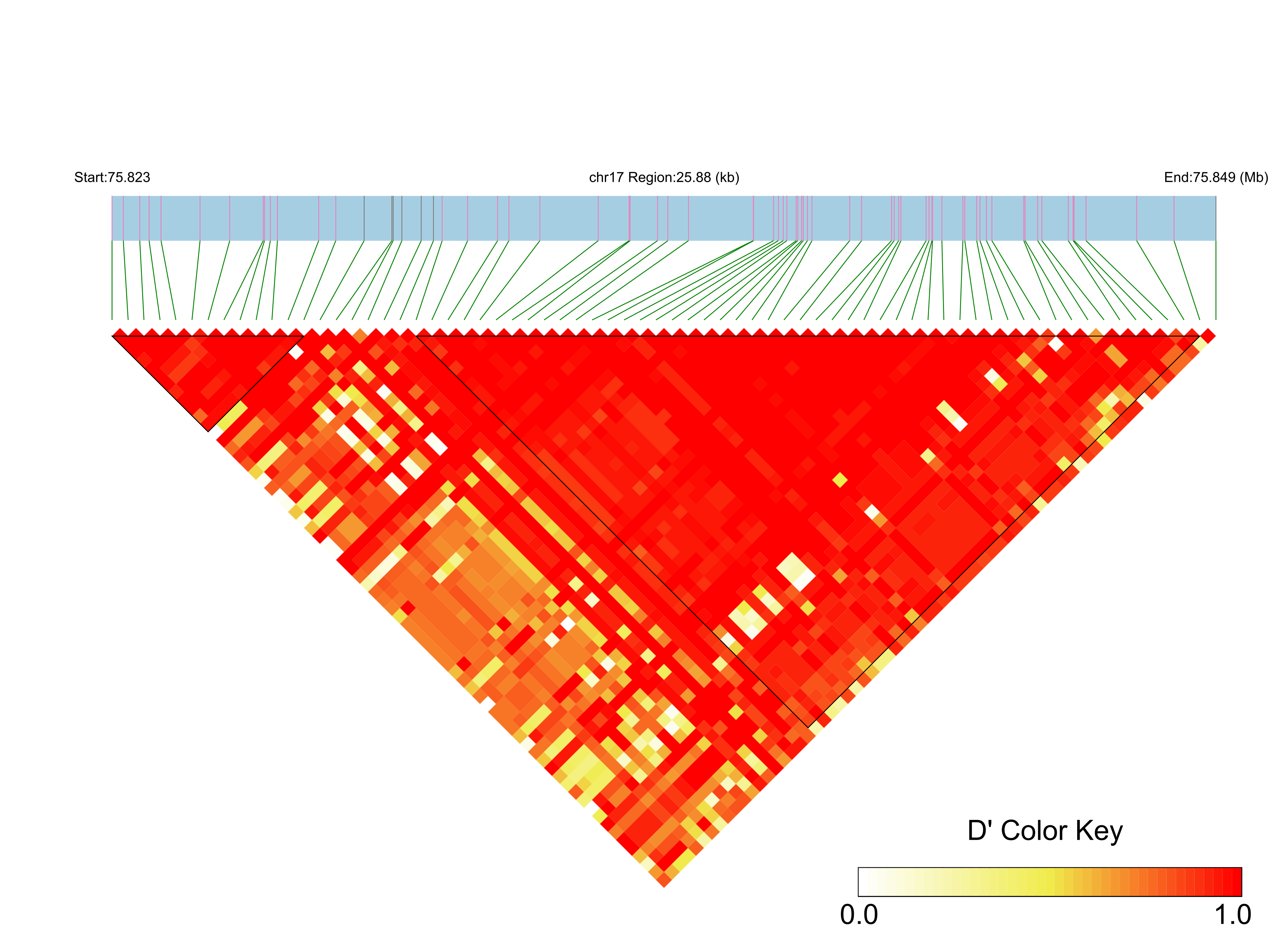 LD