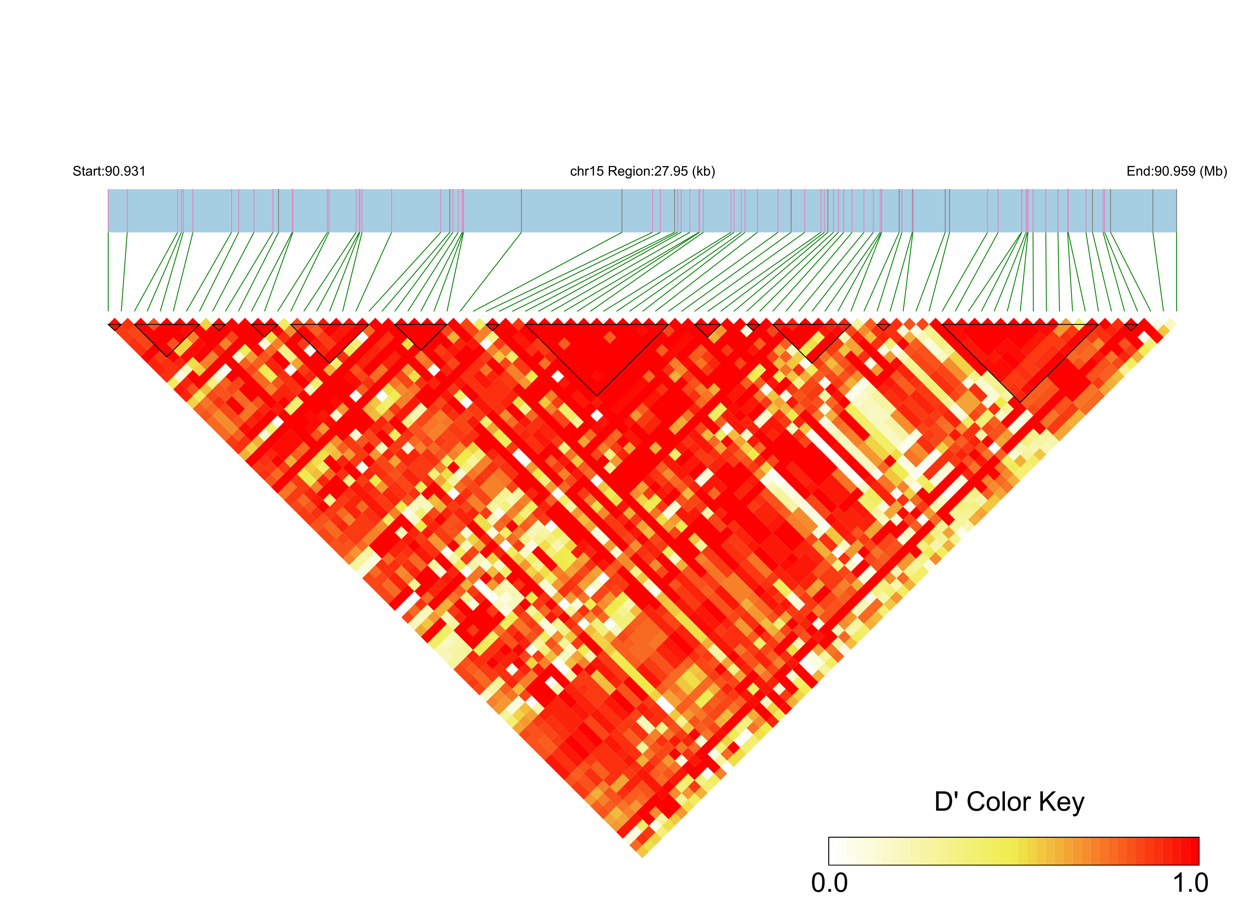 LD