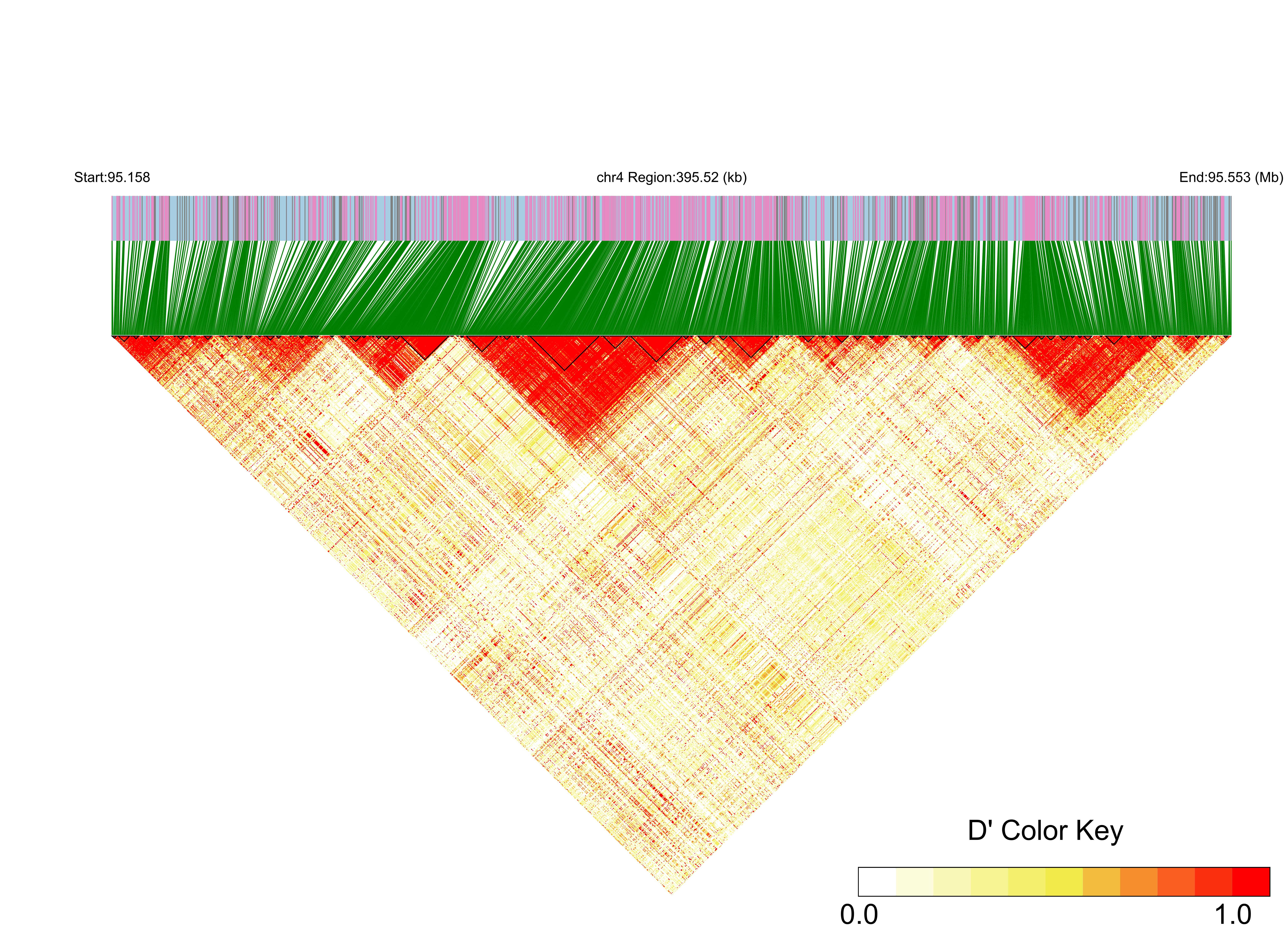 LD