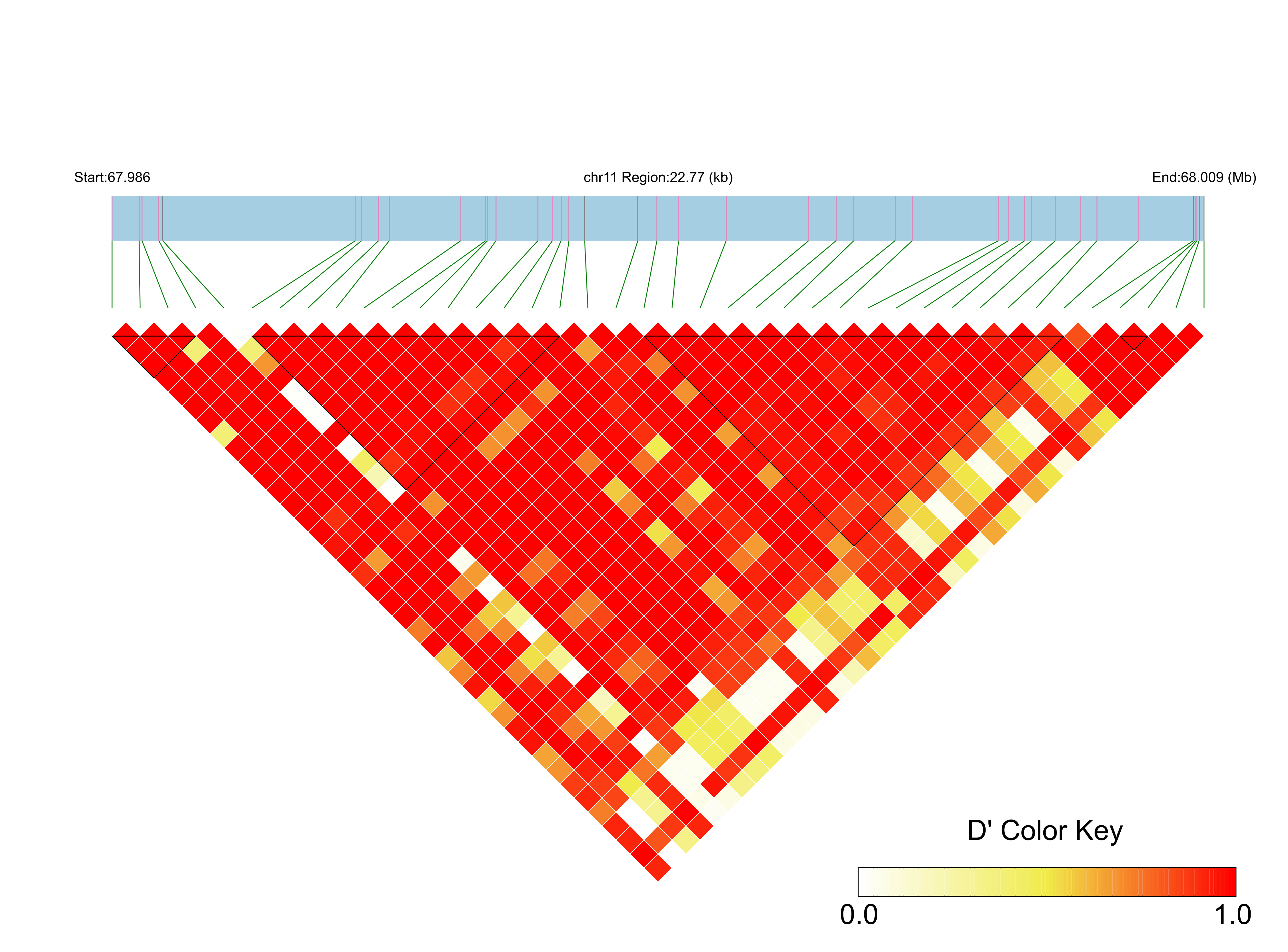 LD