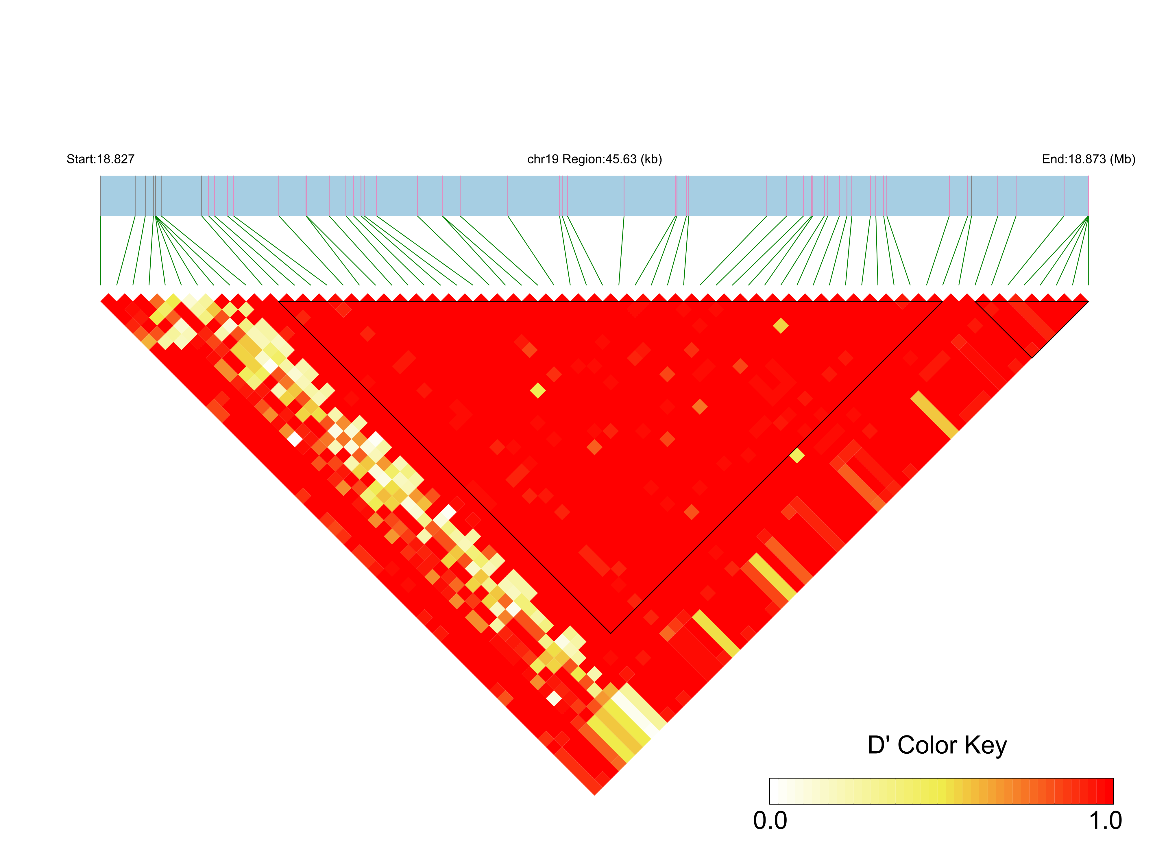 LD