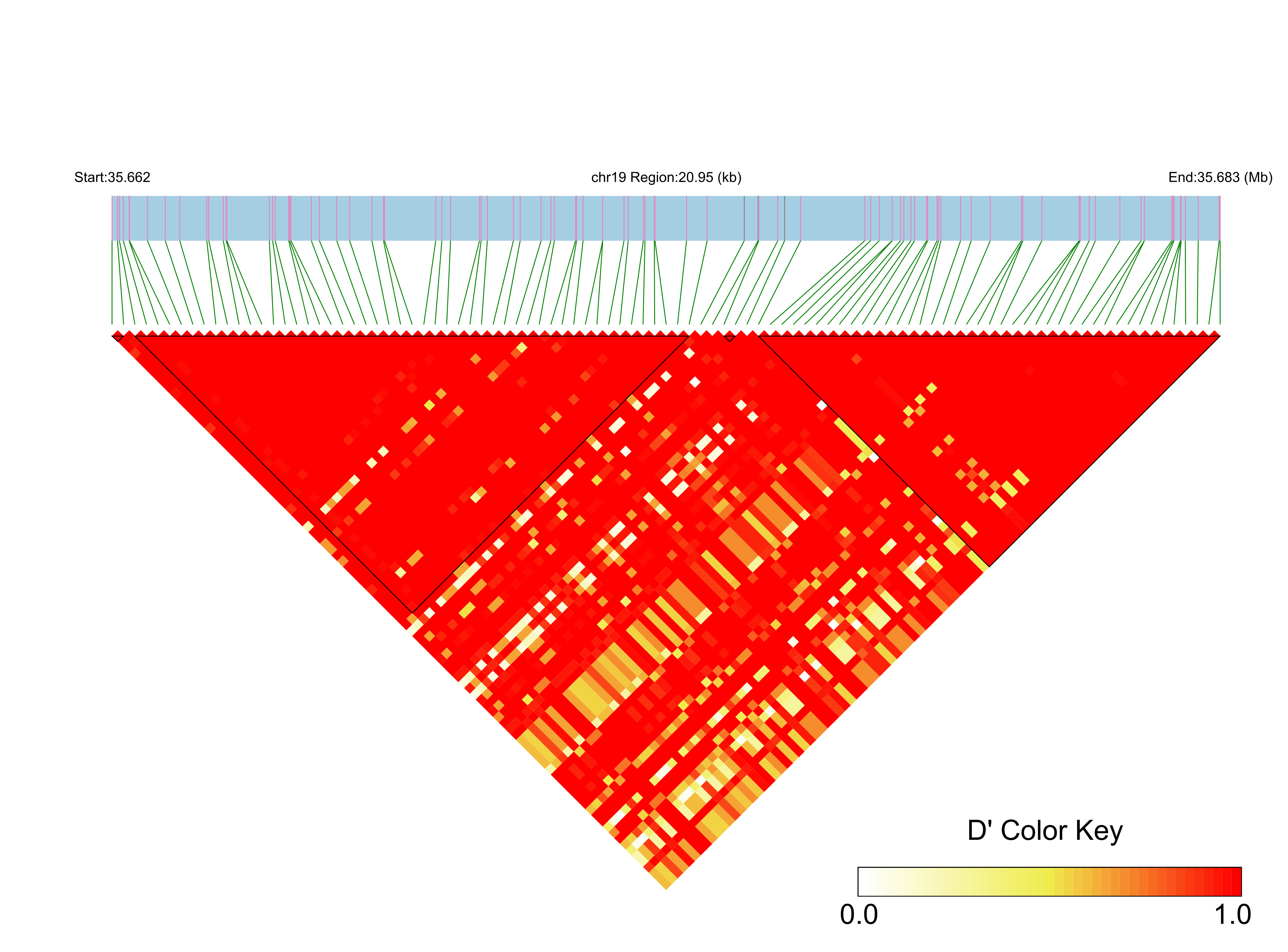 LD