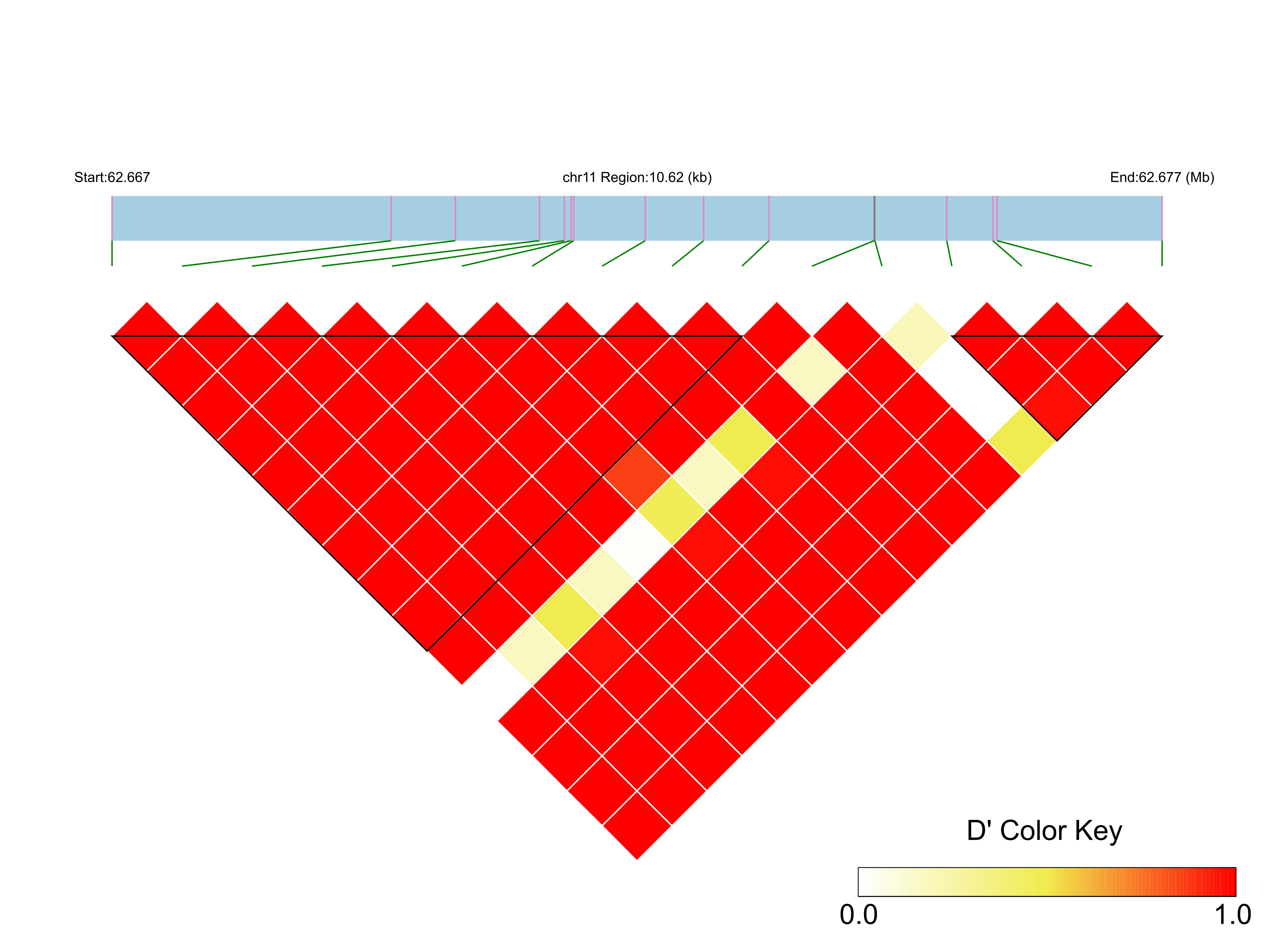 LD