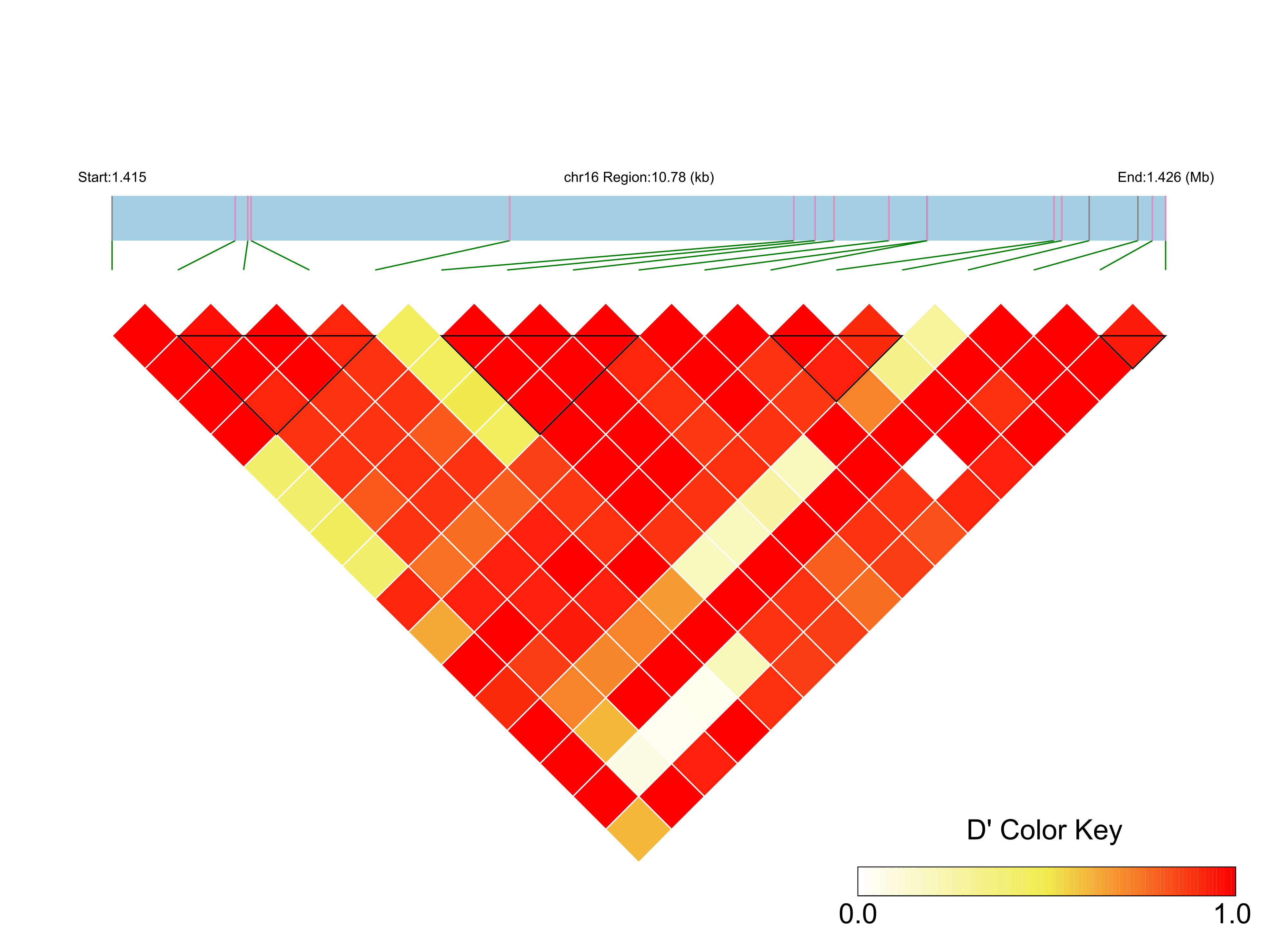 LD