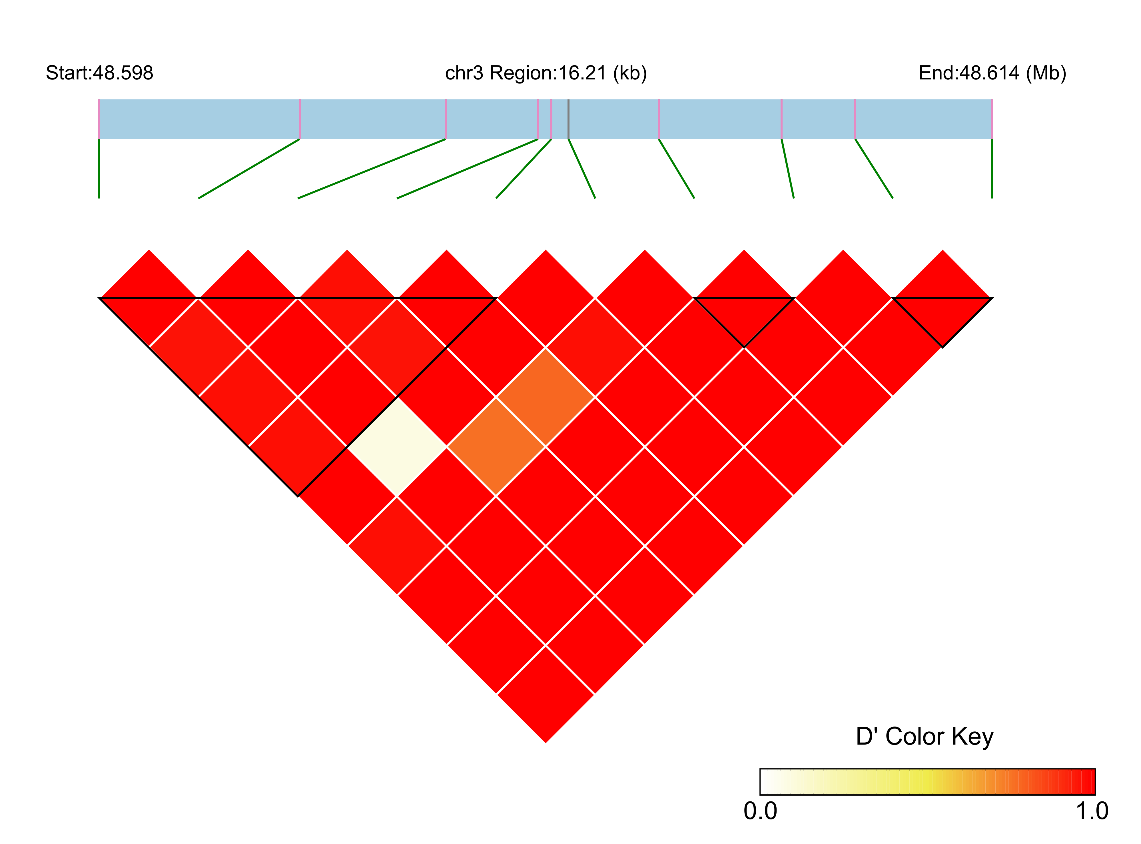 LD
