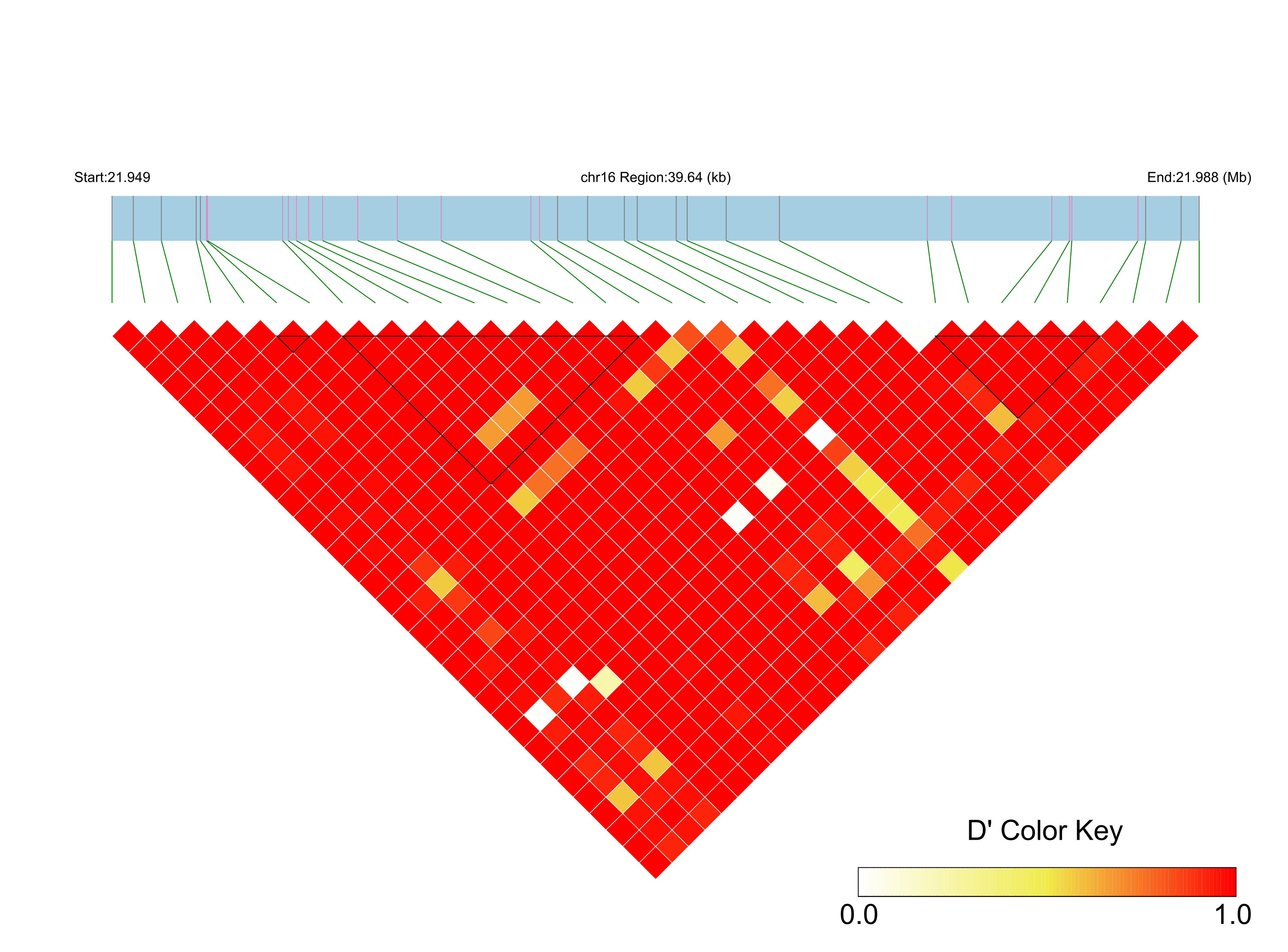 LD