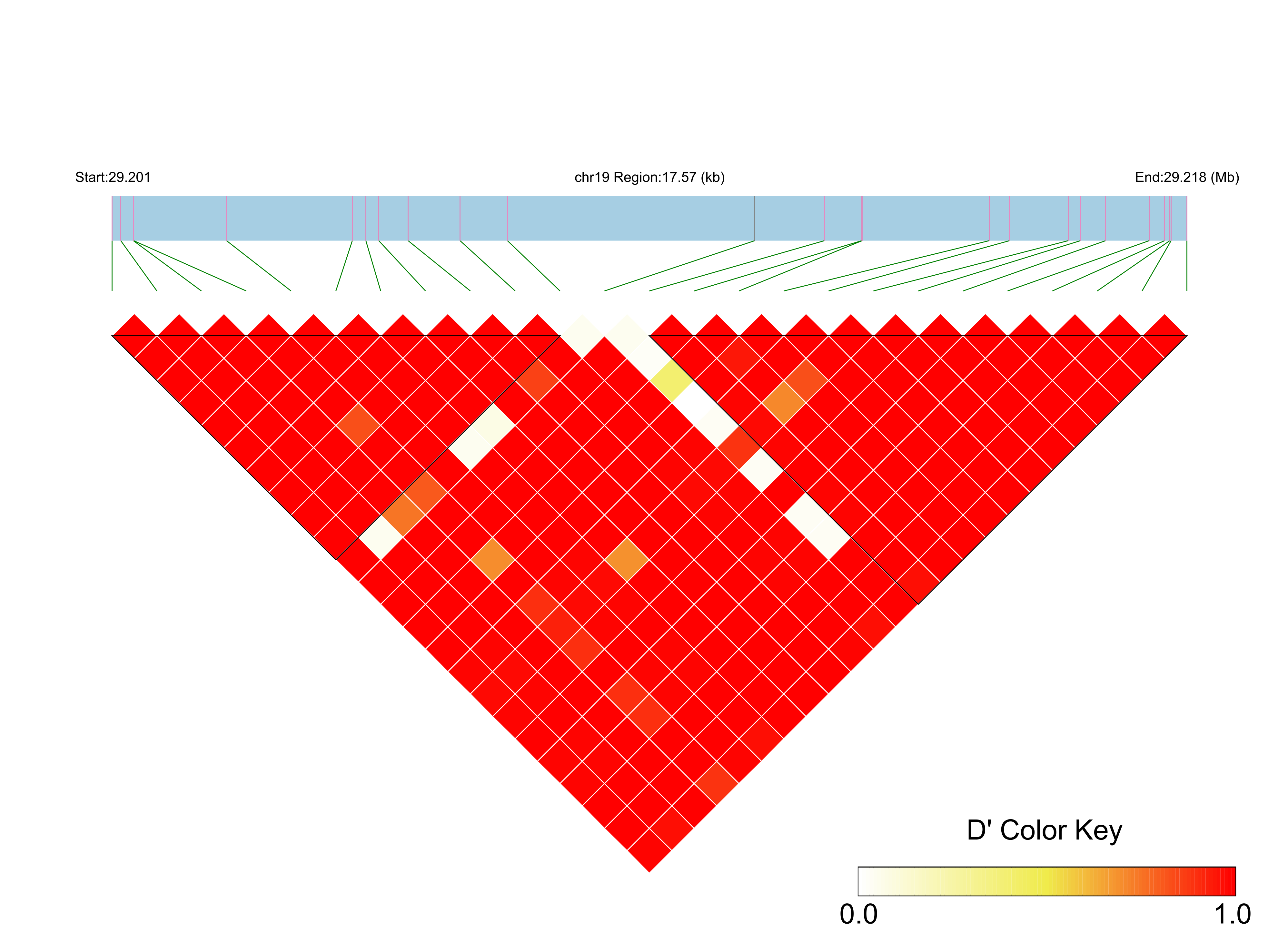 LD