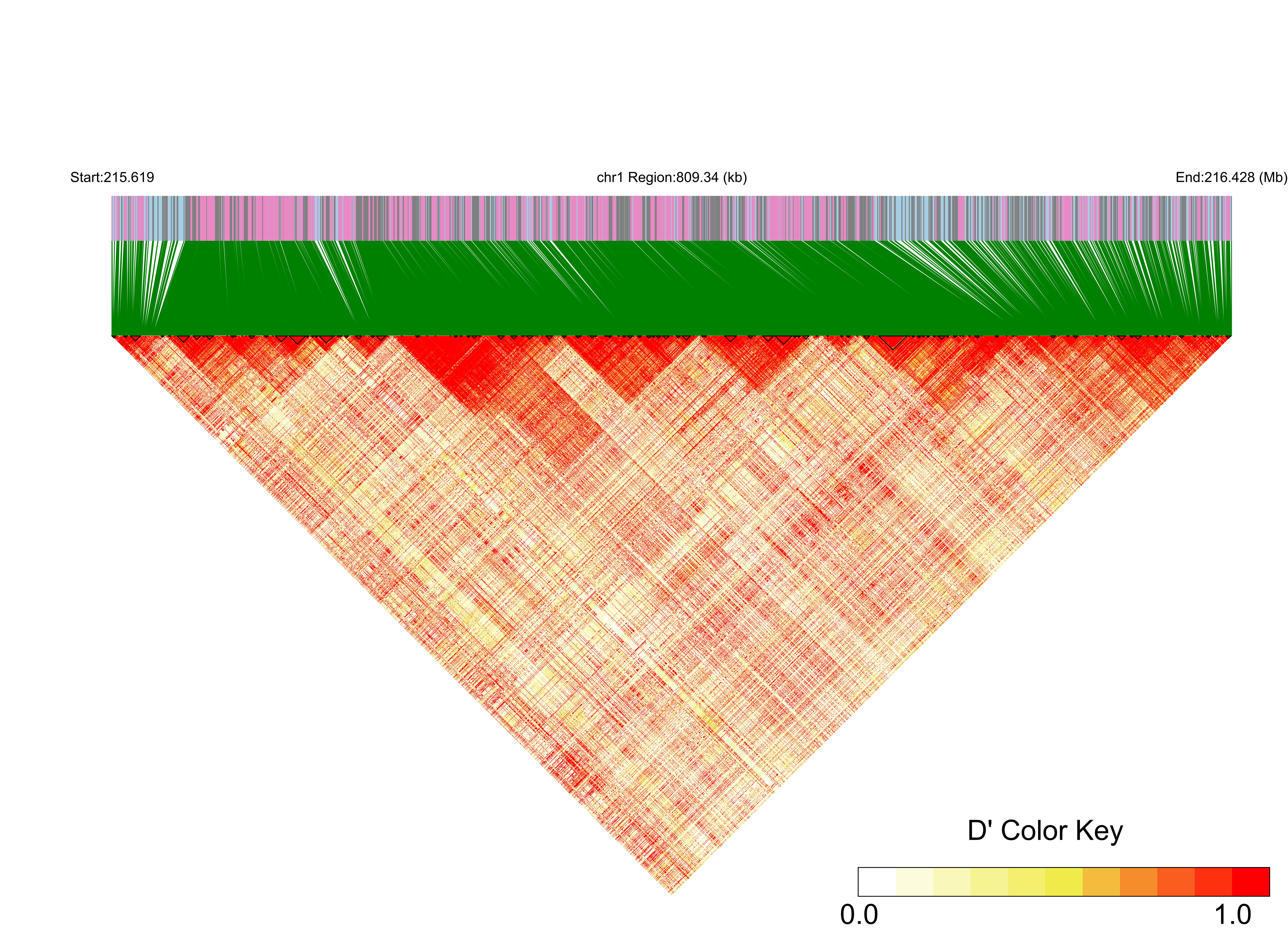 LD
