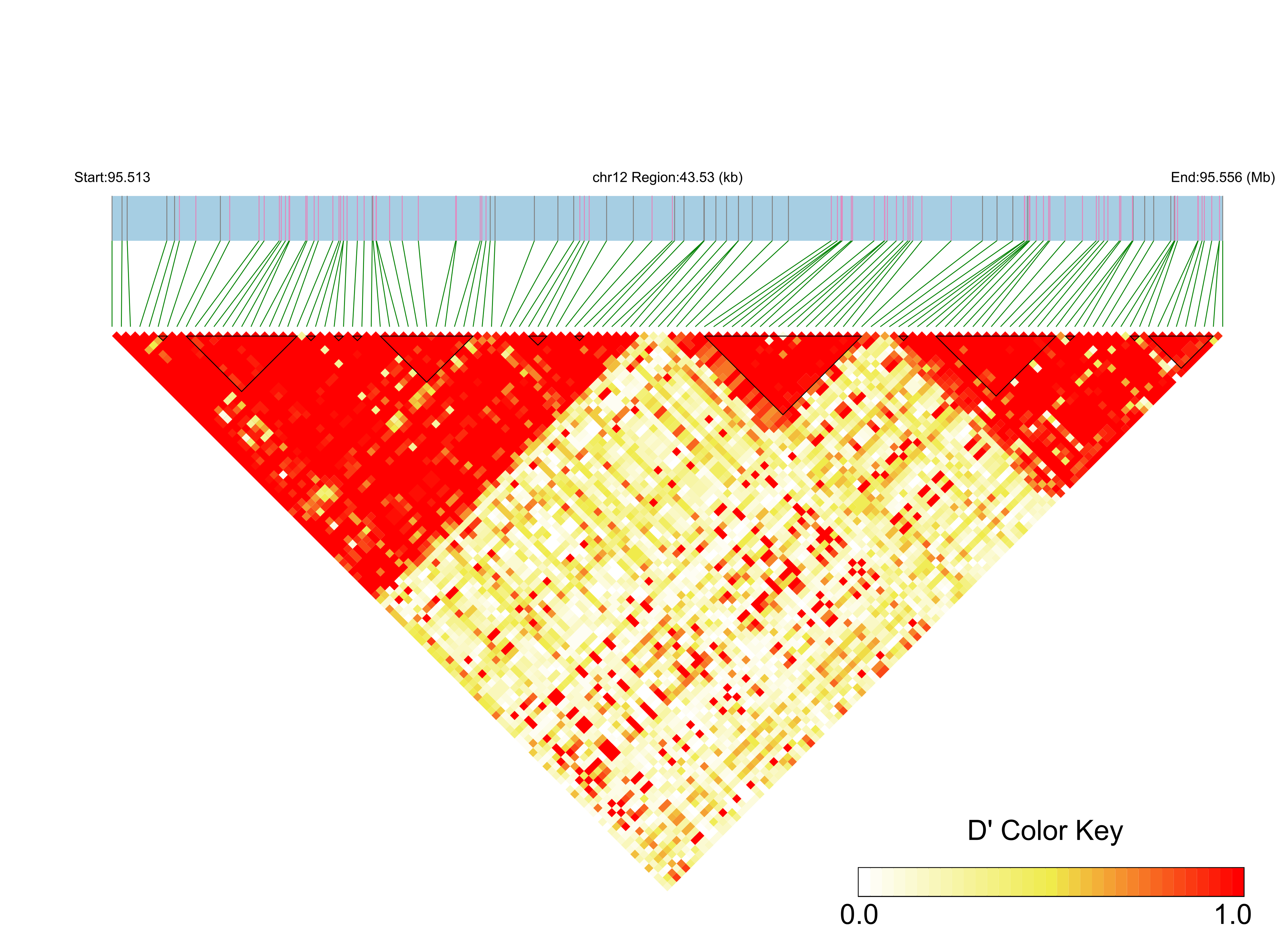 LD
