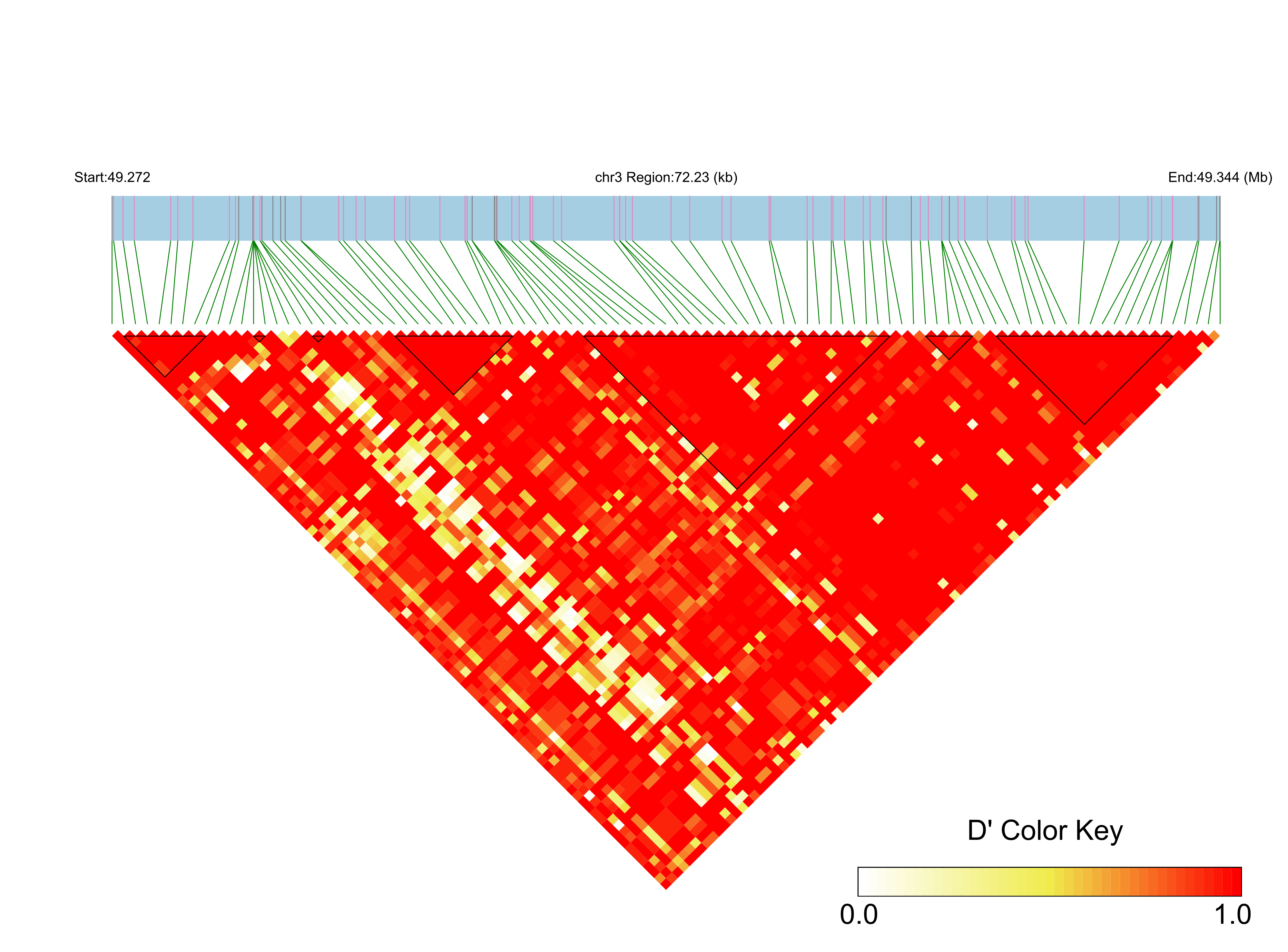 LD