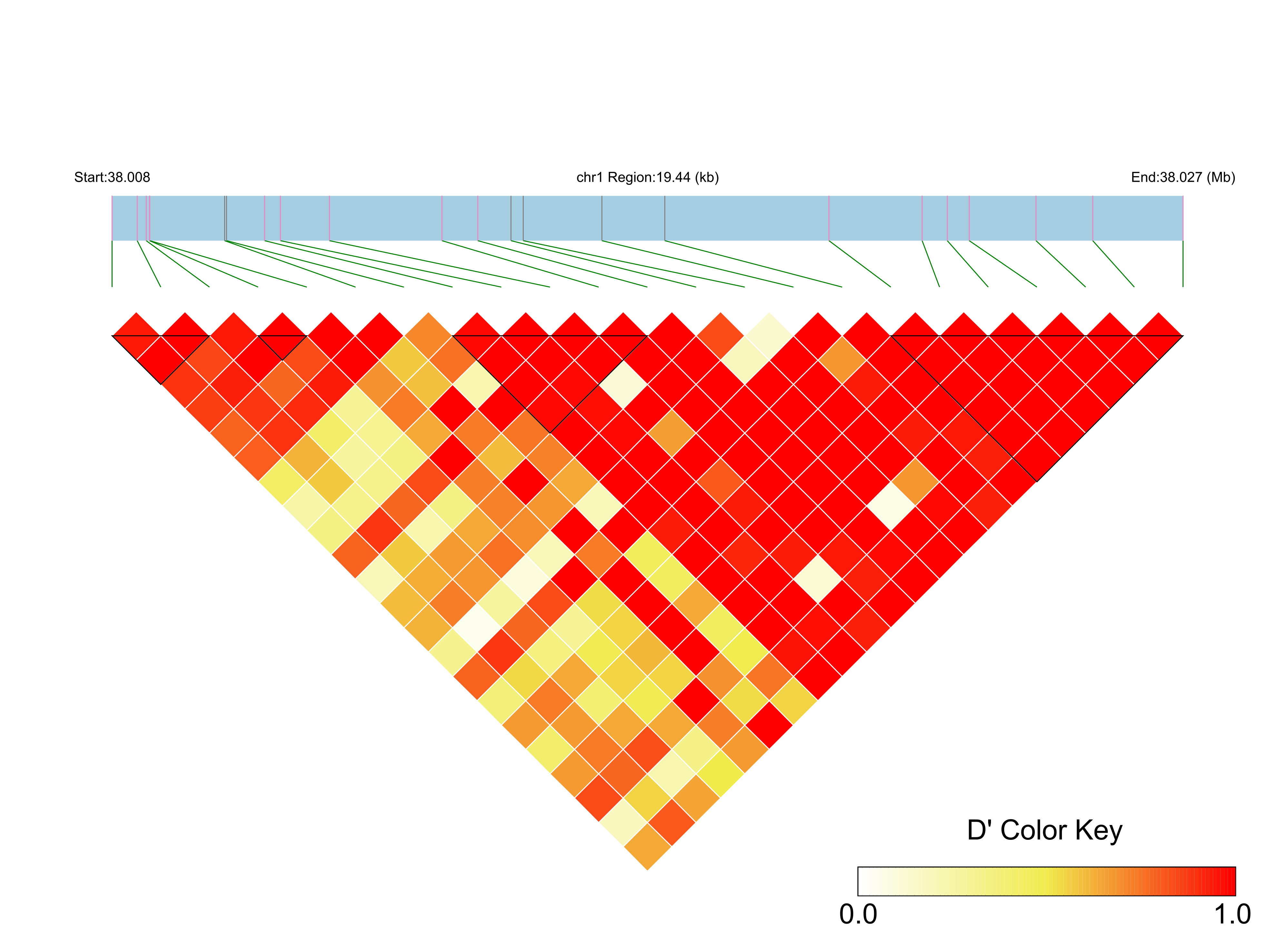 LD