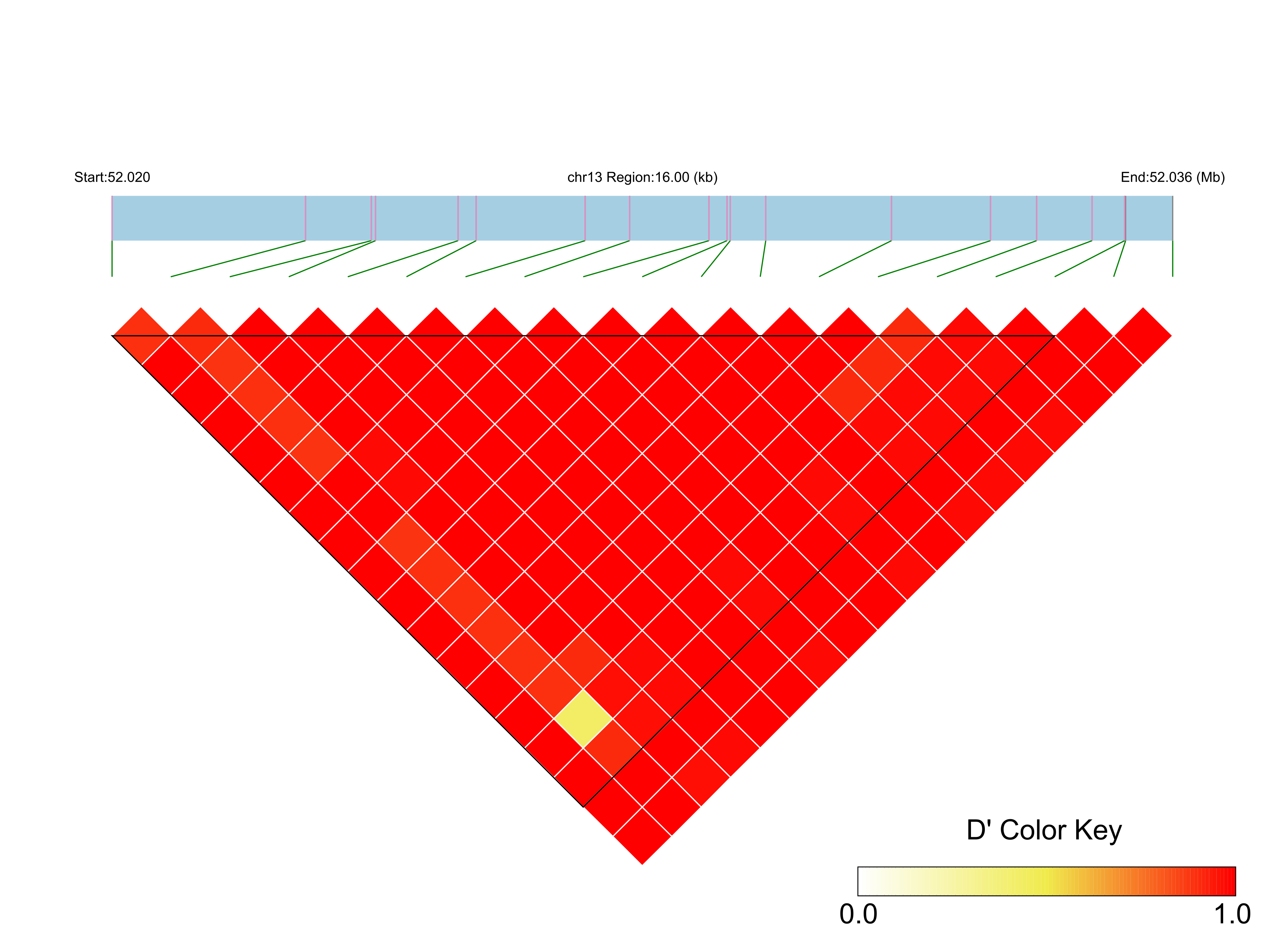 LD