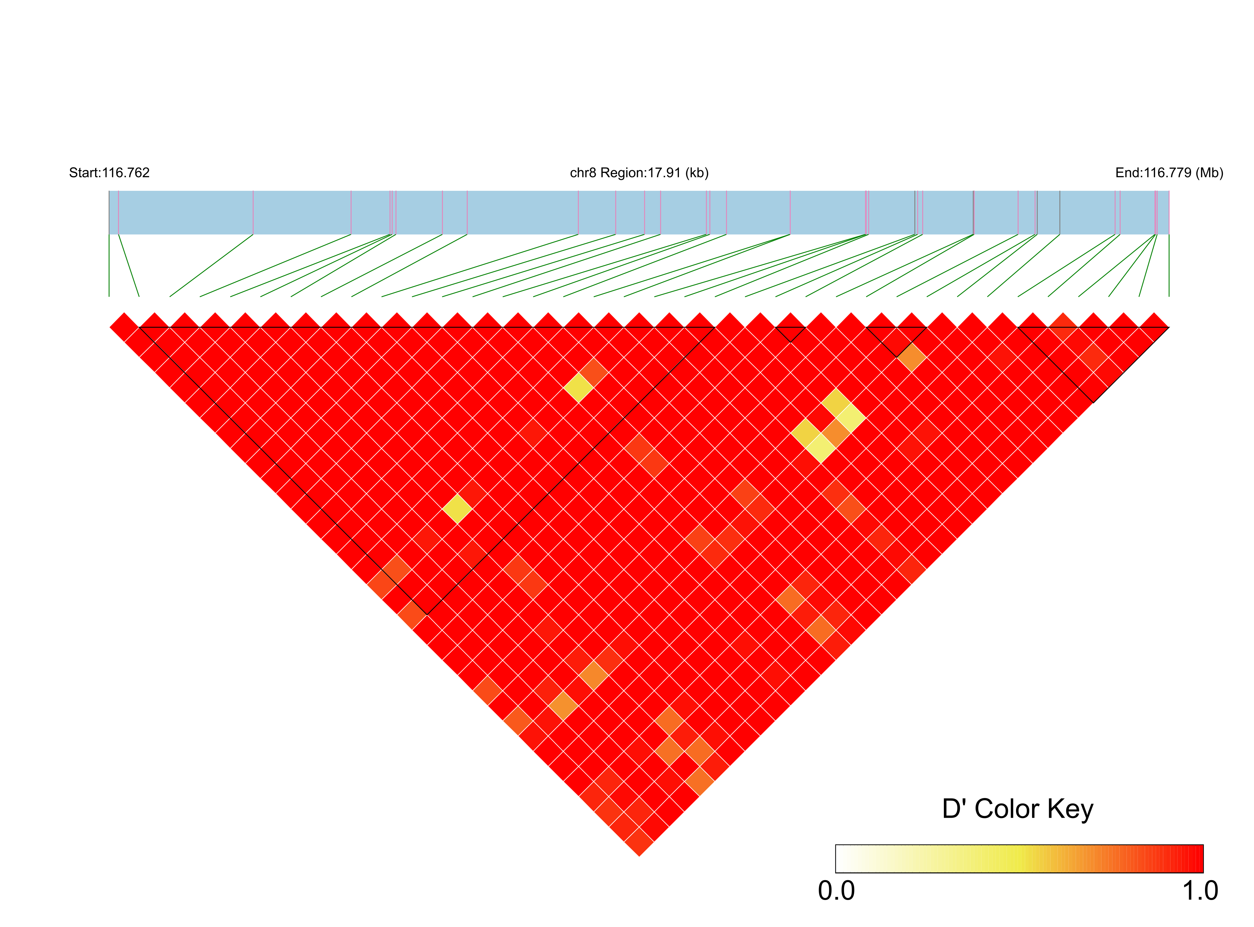 LD