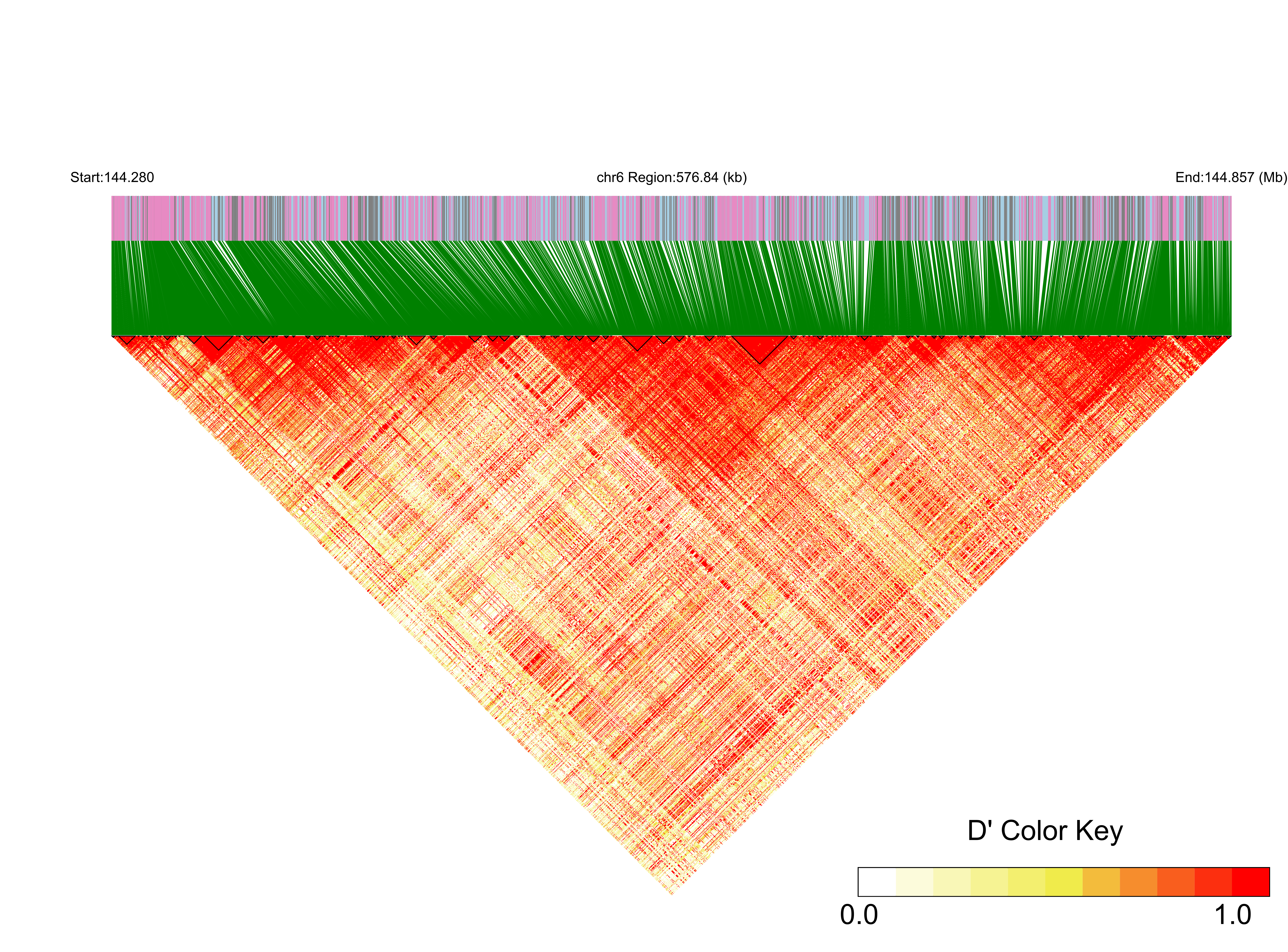 LD