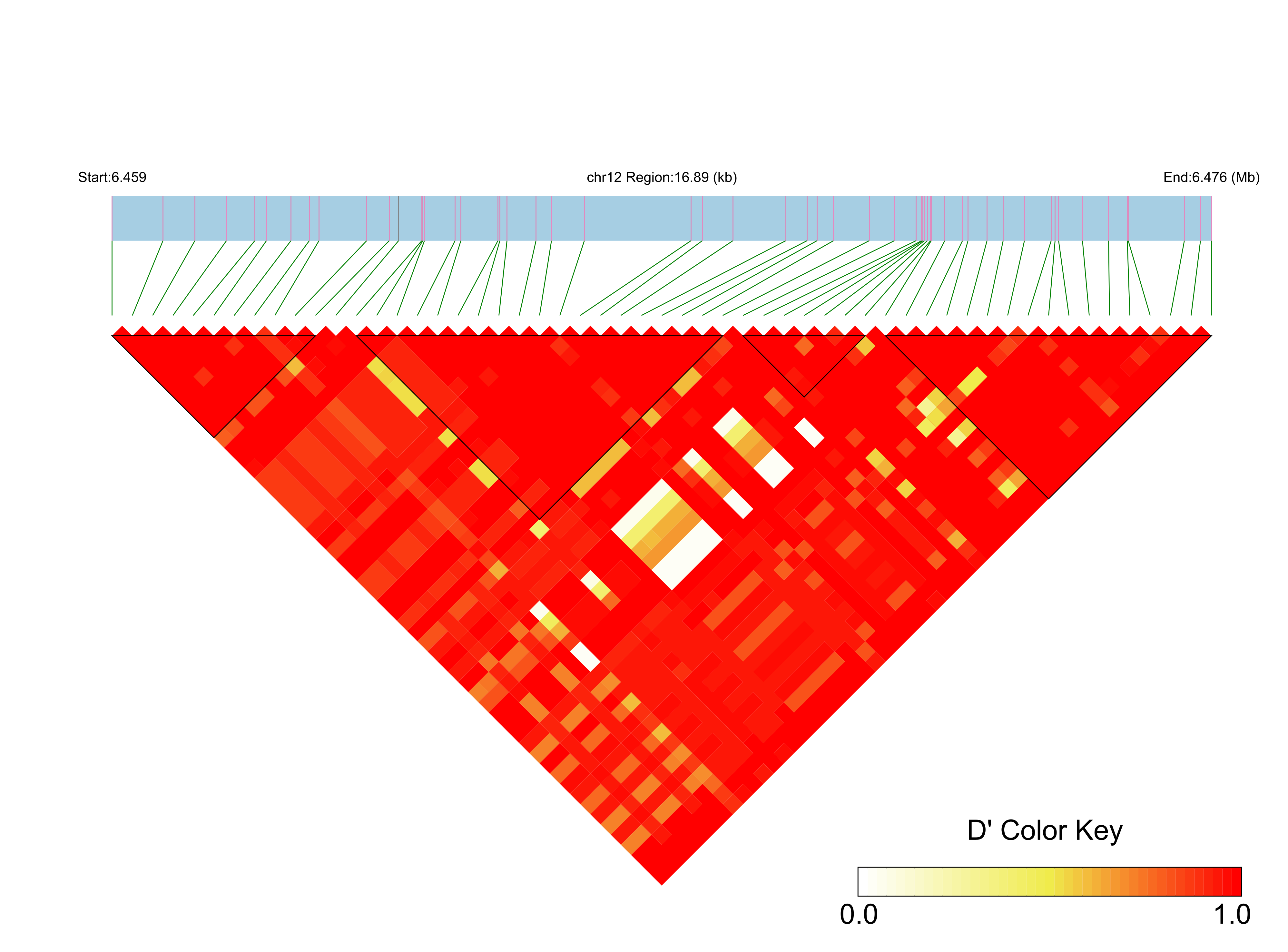 LD