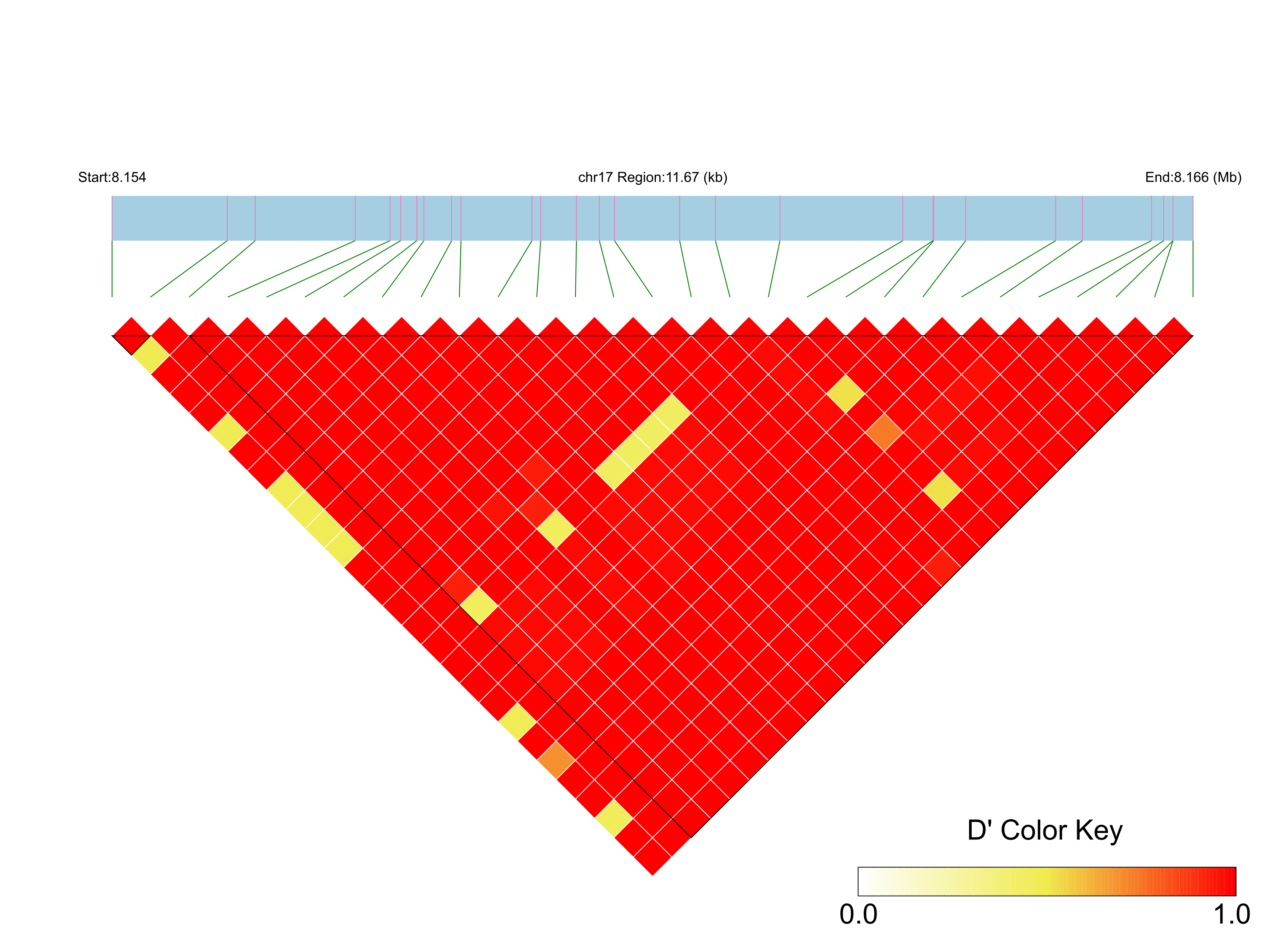 LD