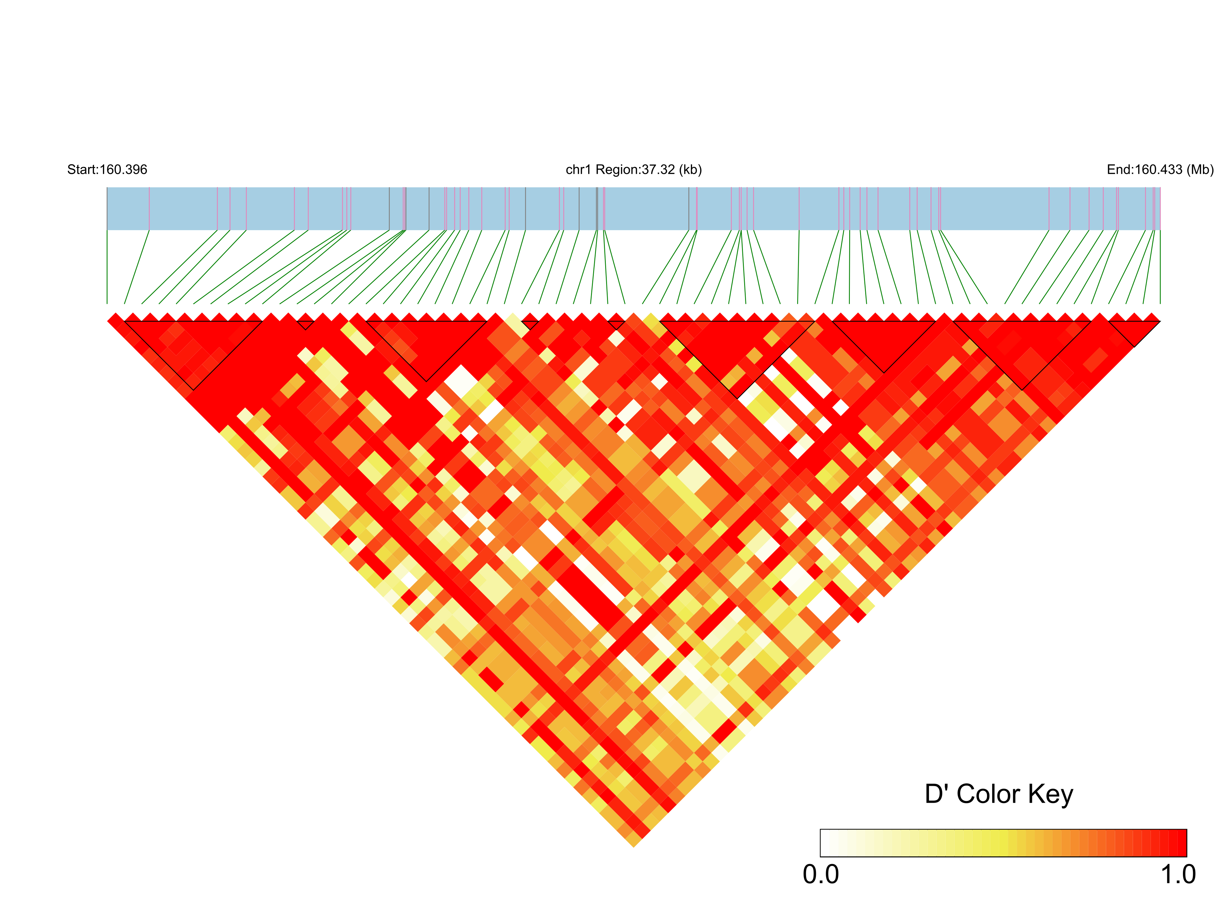 LD