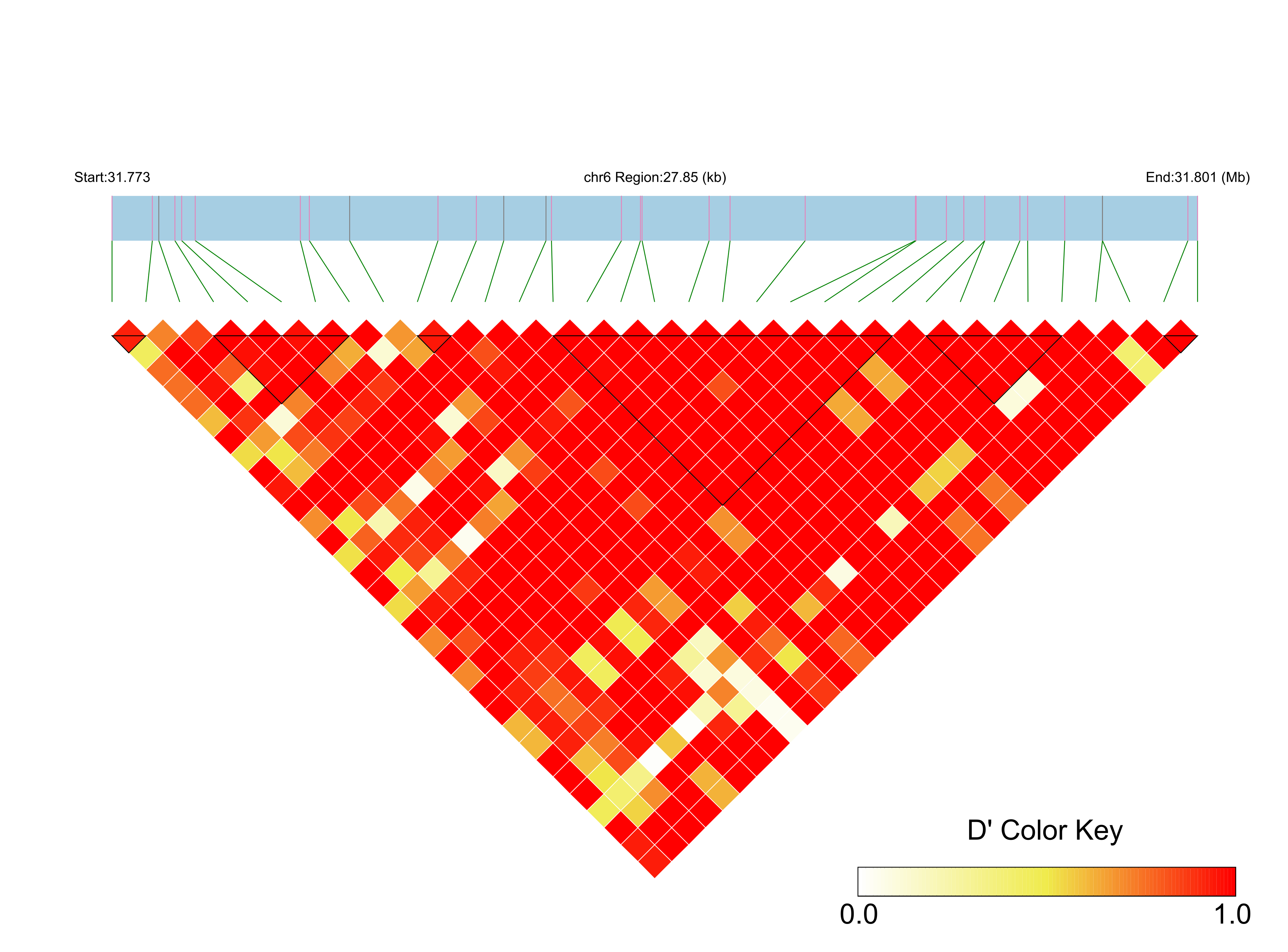 LD