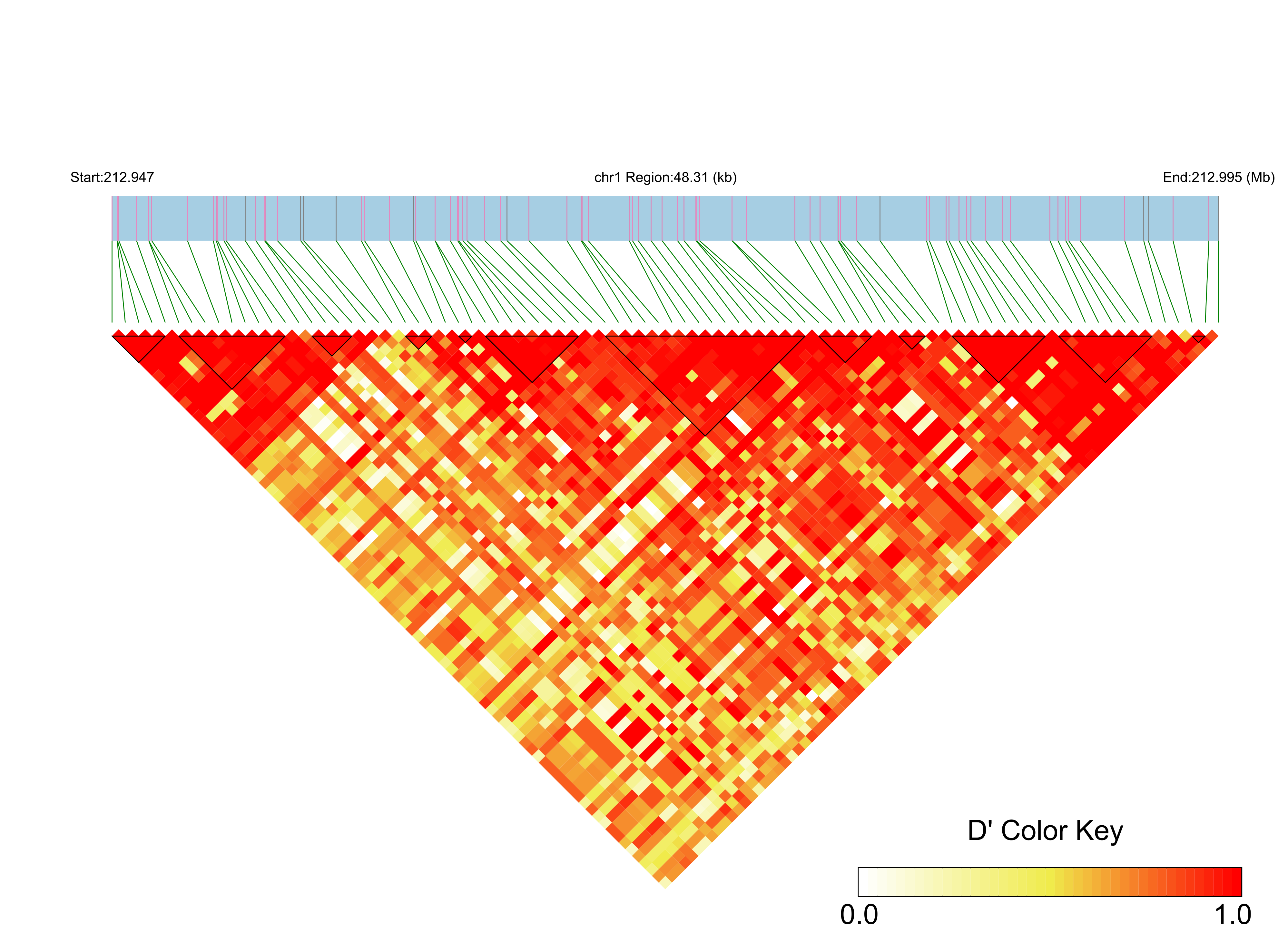 LD