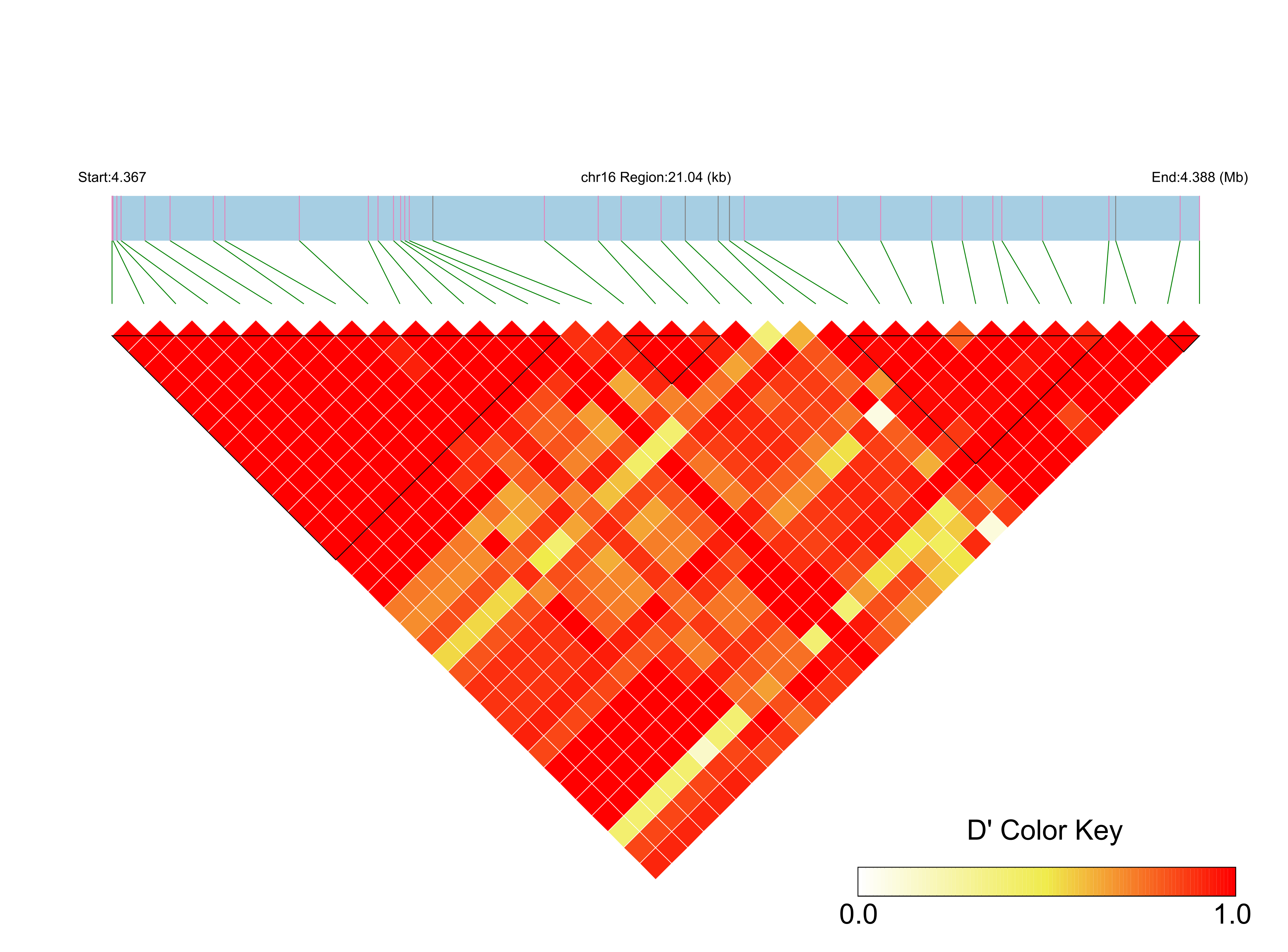 LD